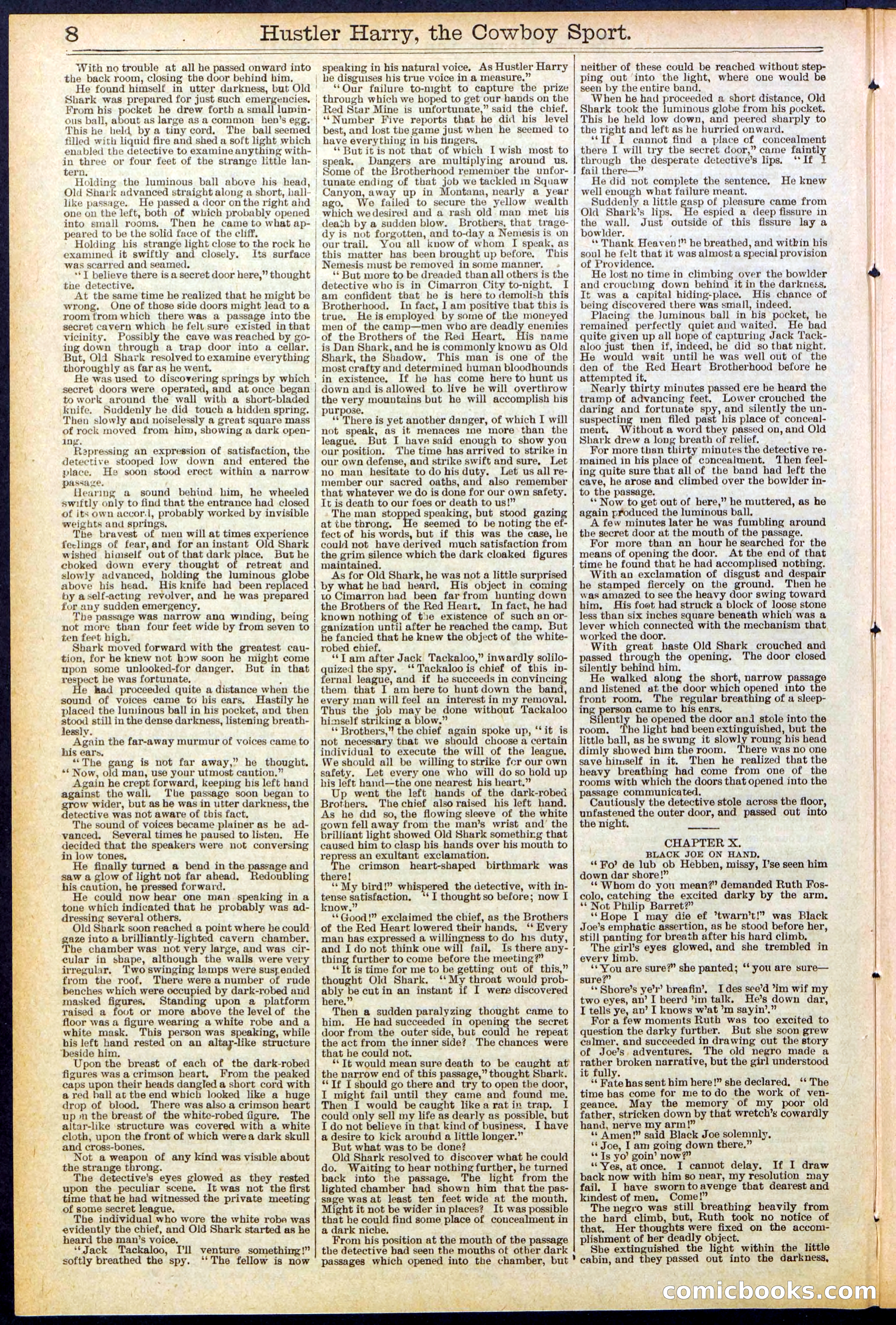 Beadle's New York Dime Library, No. 545 — page 8 of 32