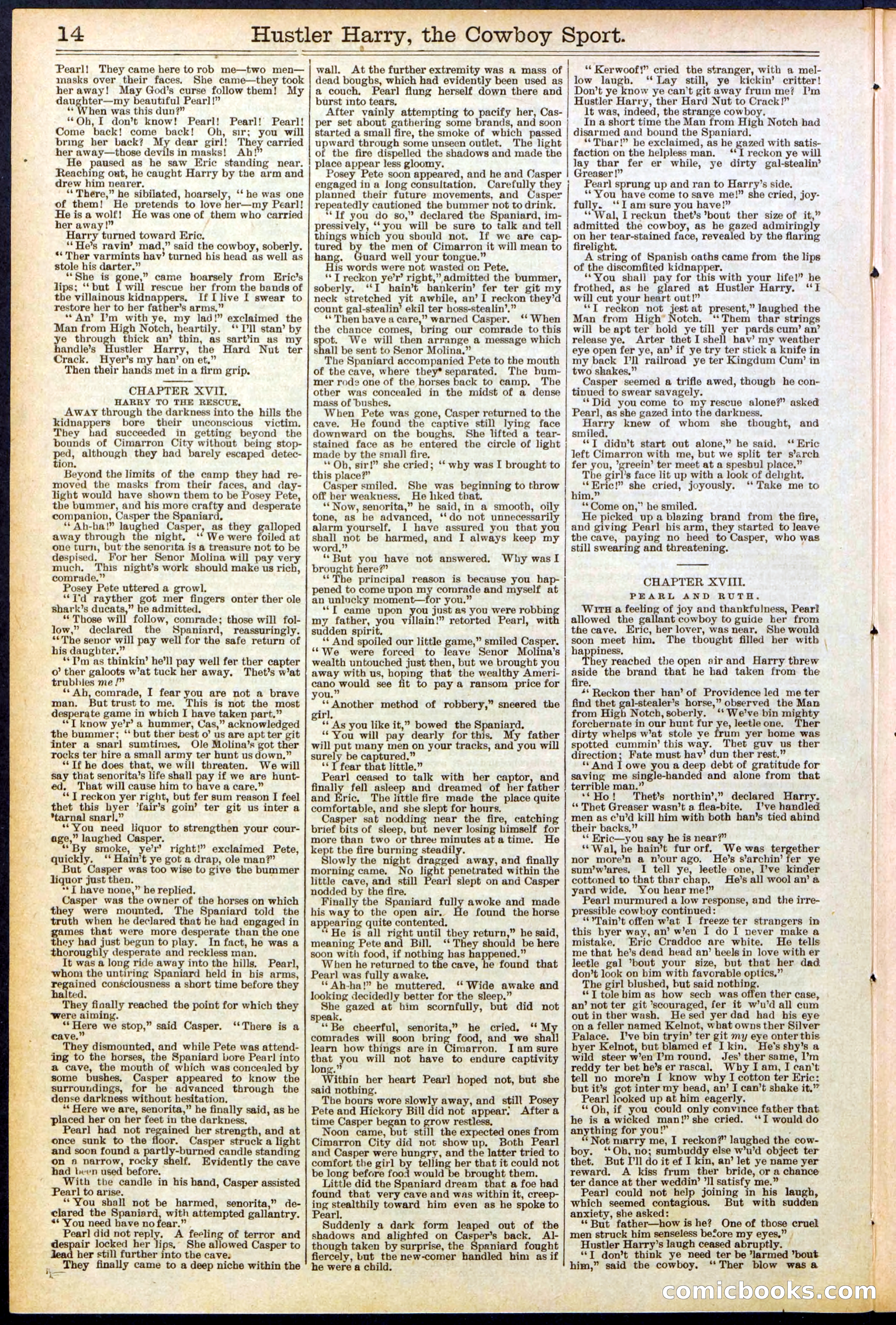 Beadle's New York Dime Library, No. 545 — page 14 of 32