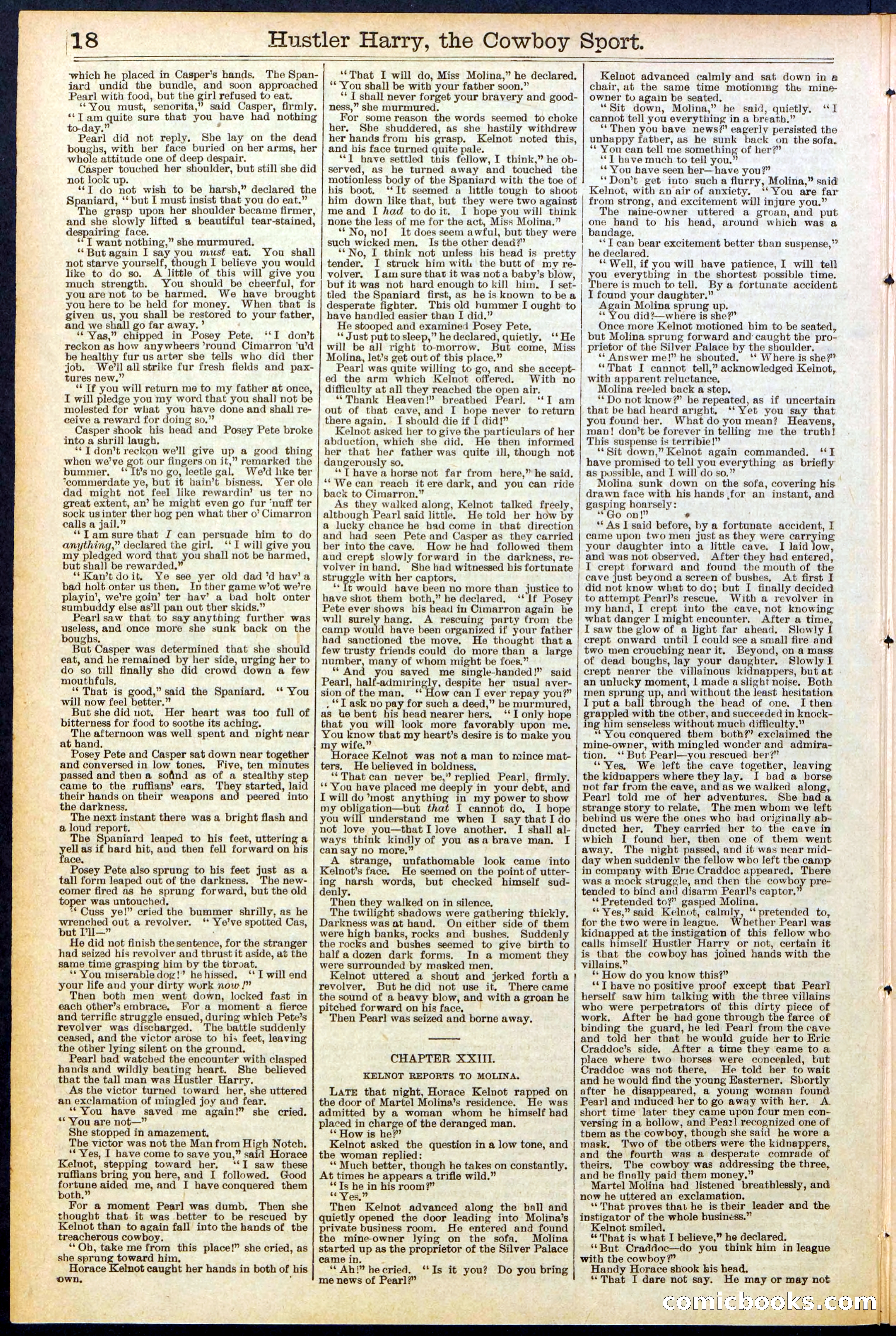 Beadle's New York Dime Library, No. 545 — page 18 of 32