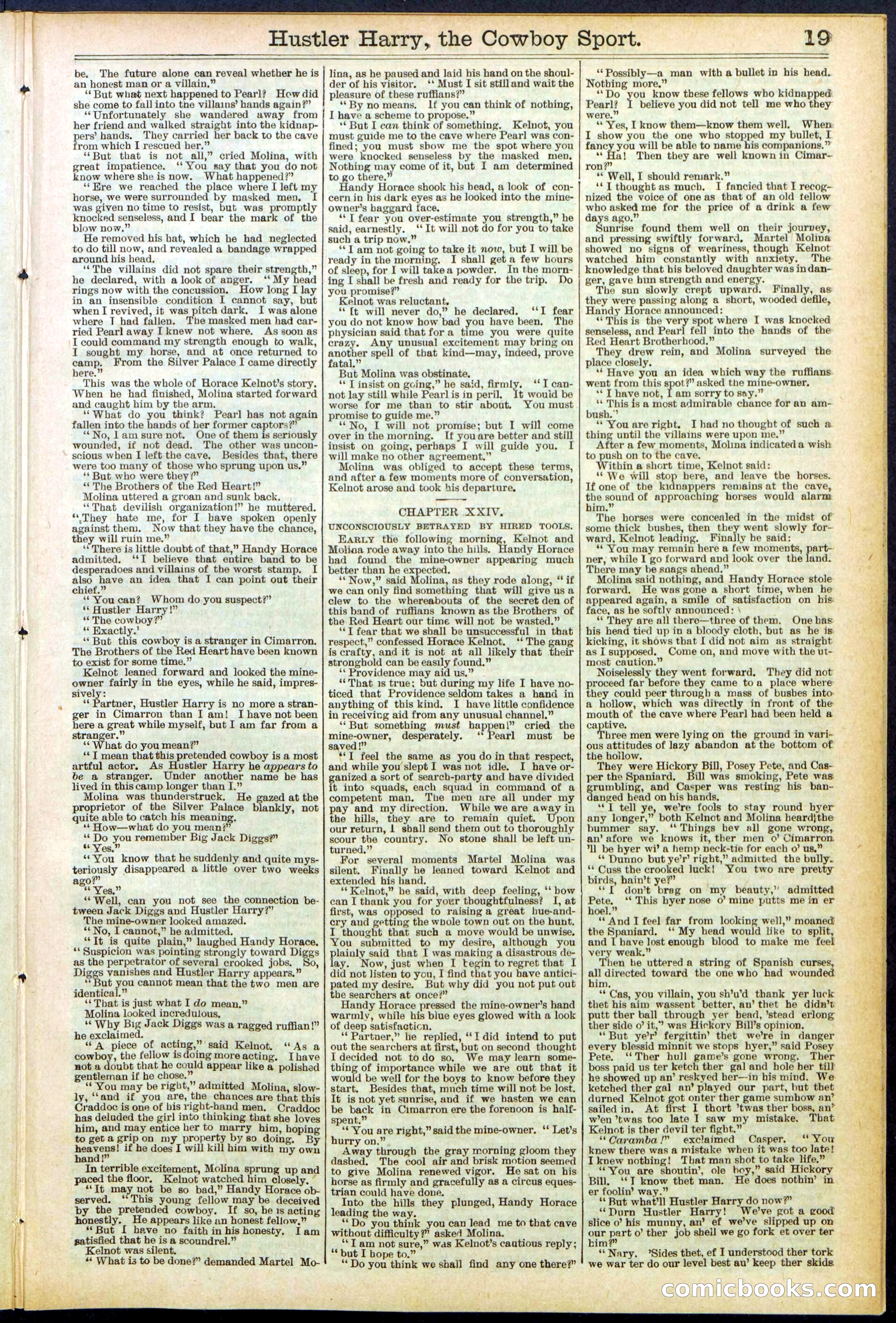 Beadle's New York Dime Library, No. 545 — page 19 of 32
