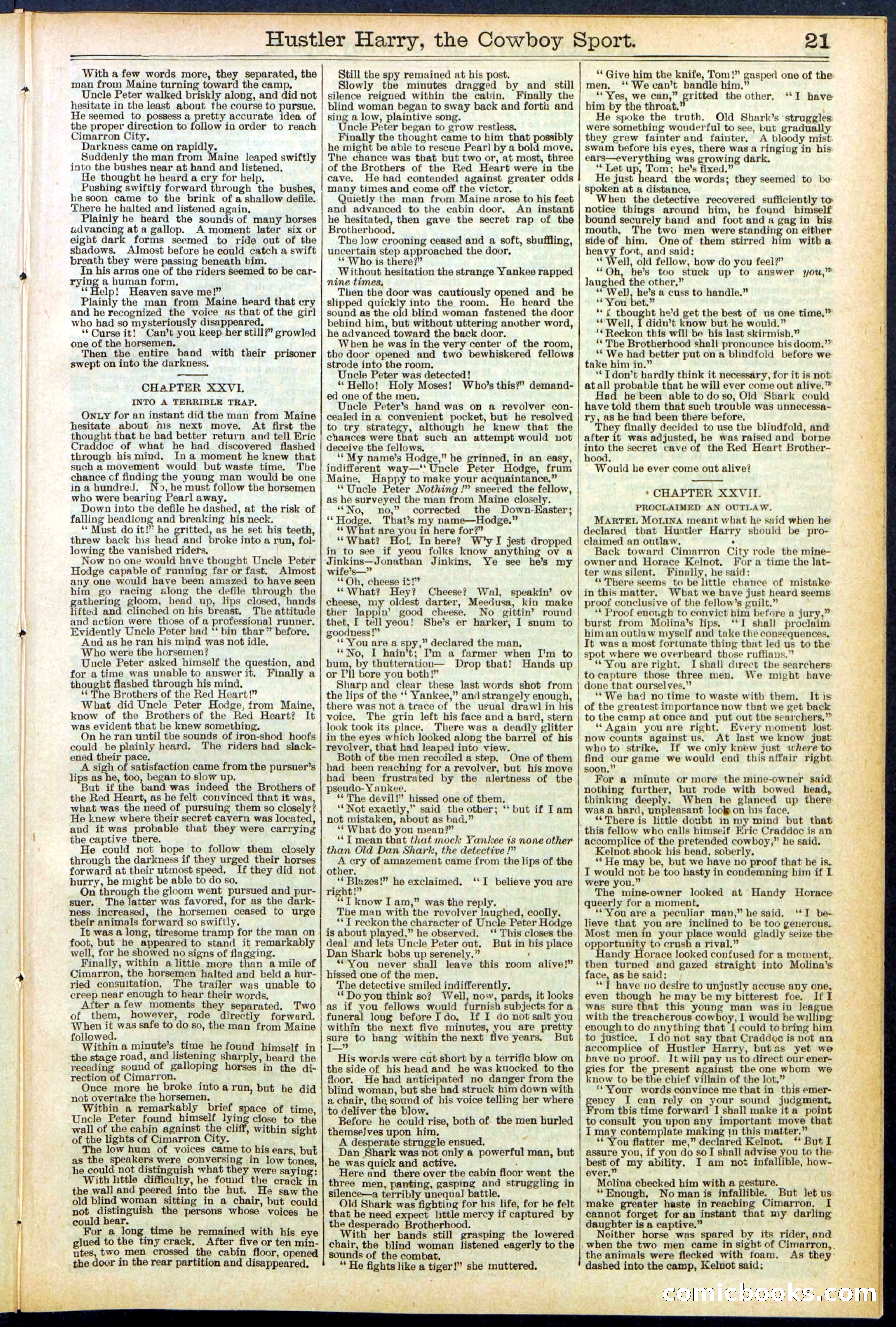 Beadle's New York Dime Library, No. 545 — page 21 of 32