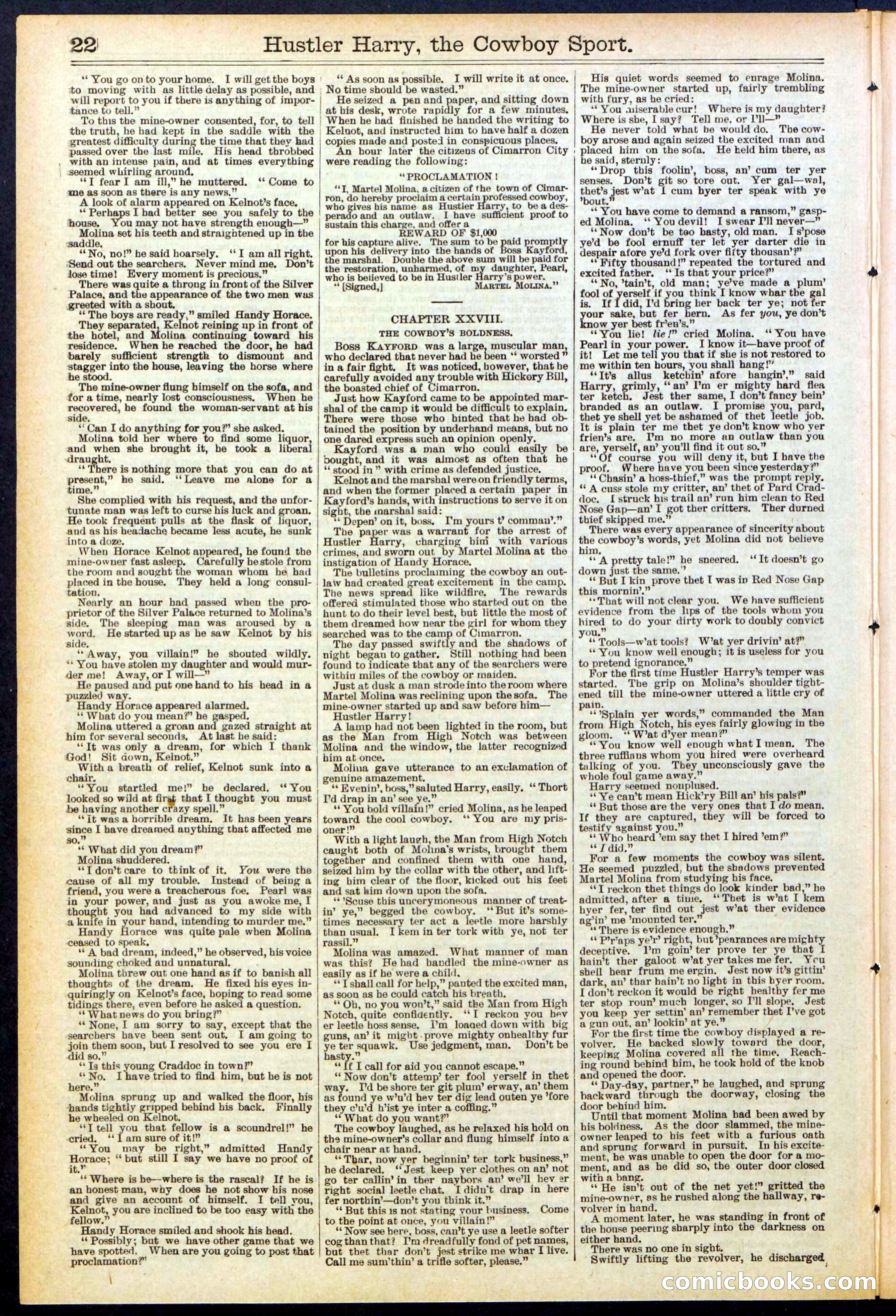 Beadle's New York Dime Library, No. 545 — page 22 of 32