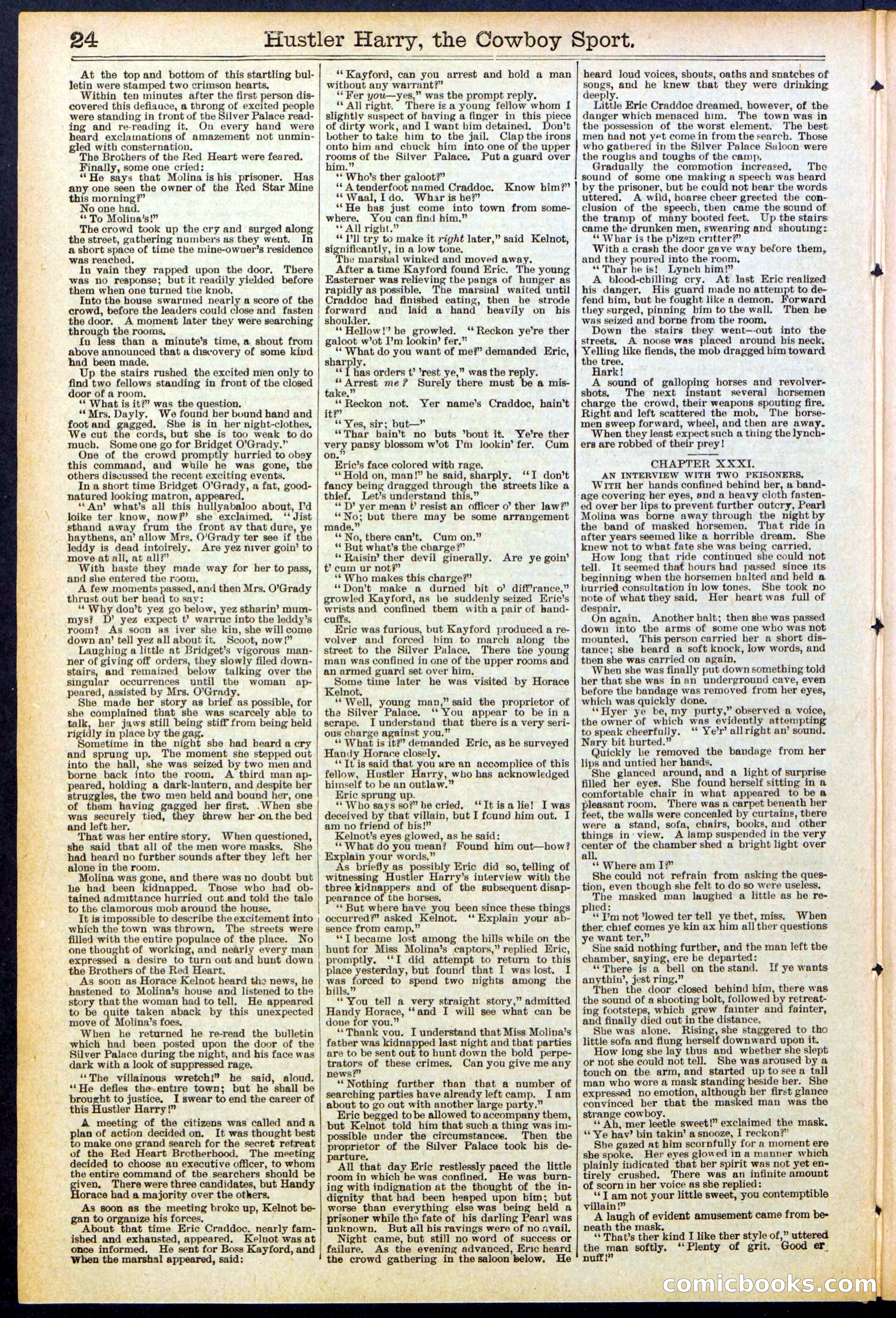 Beadle's New York Dime Library, No. 545 — page 24 of 32