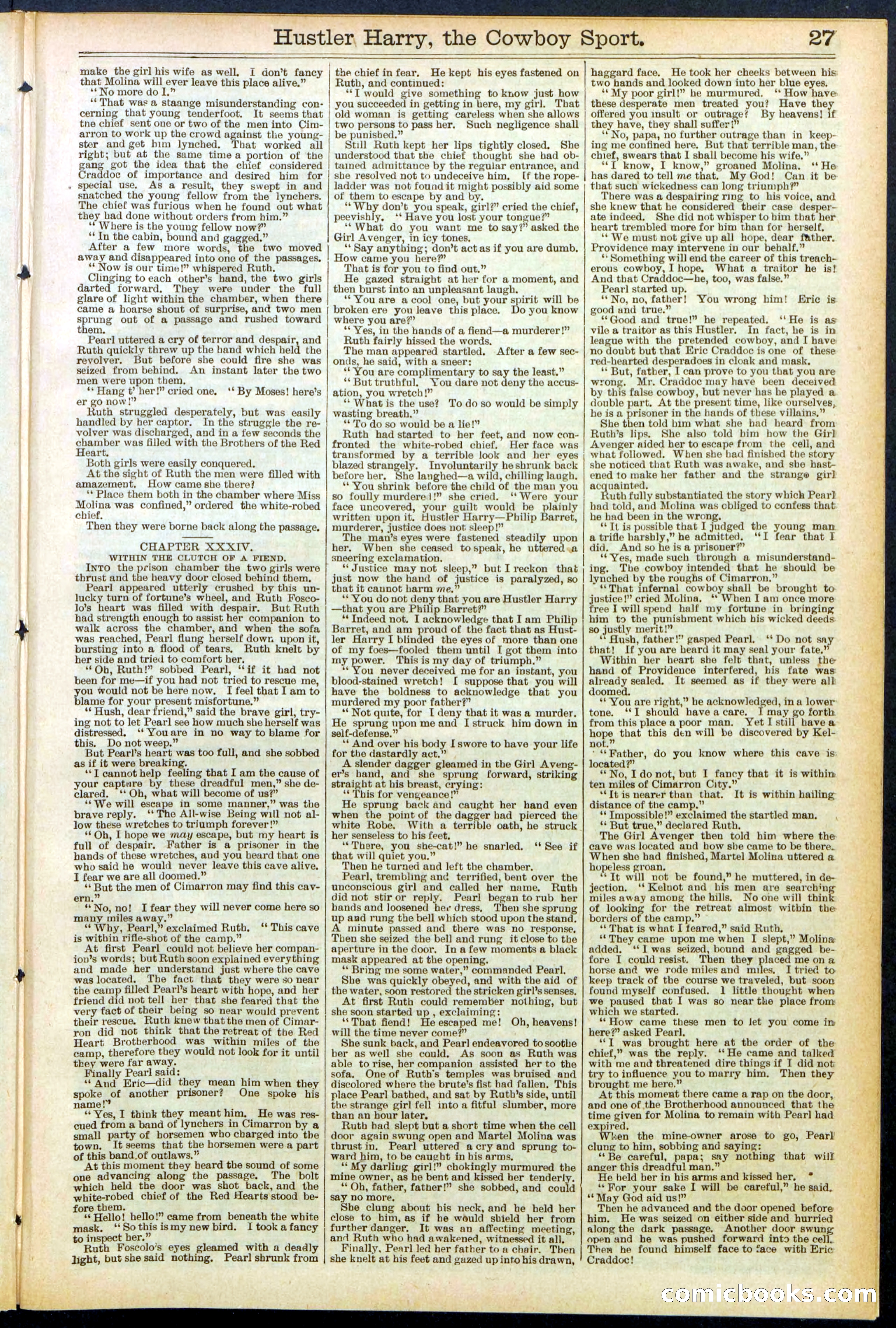 Beadle's New York Dime Library, No. 545 — page 27 of 32