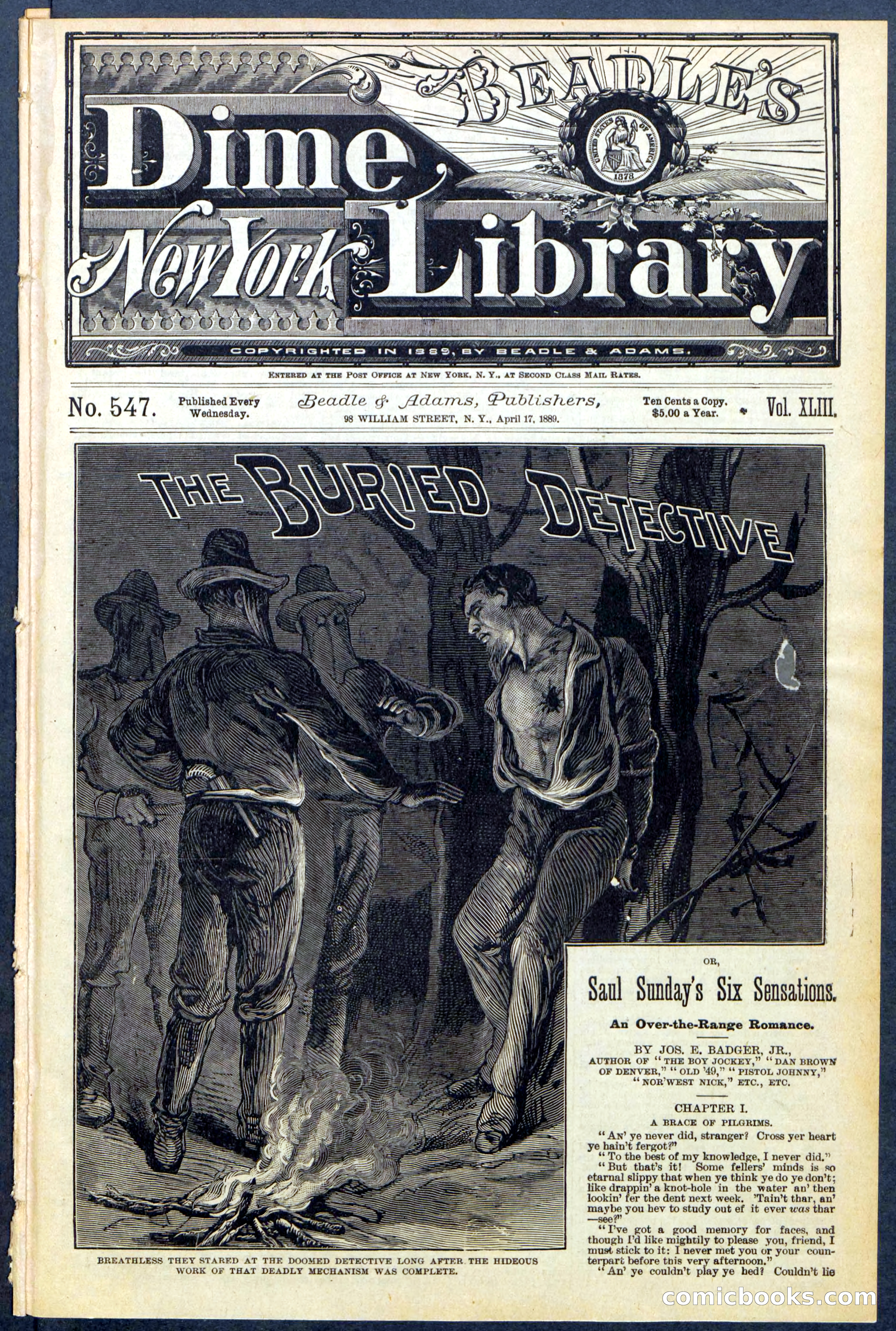 Beadle's New York Dime Library, No. 547