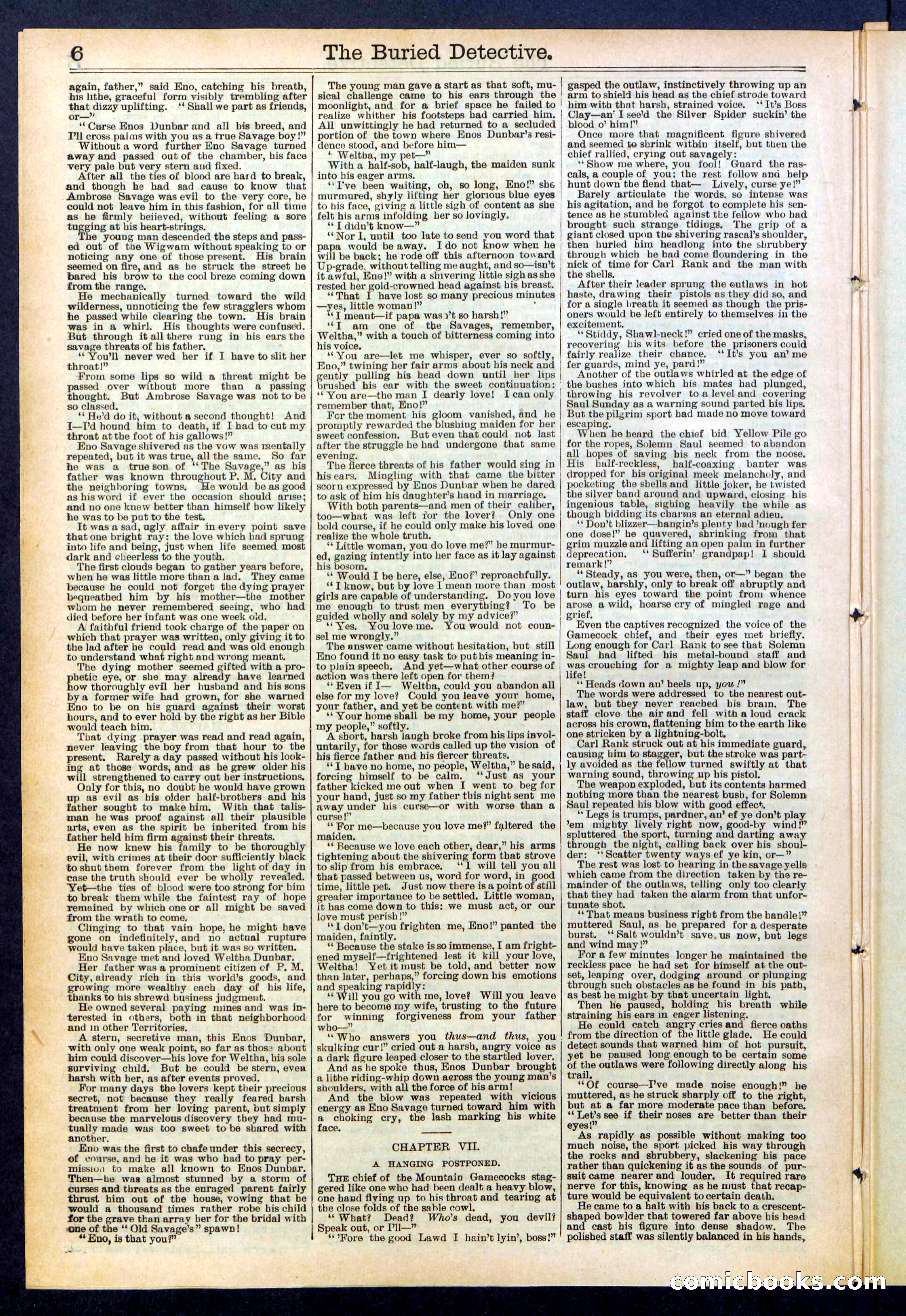 Beadle's New York Dime Library, No. 547 — page 6 of 32