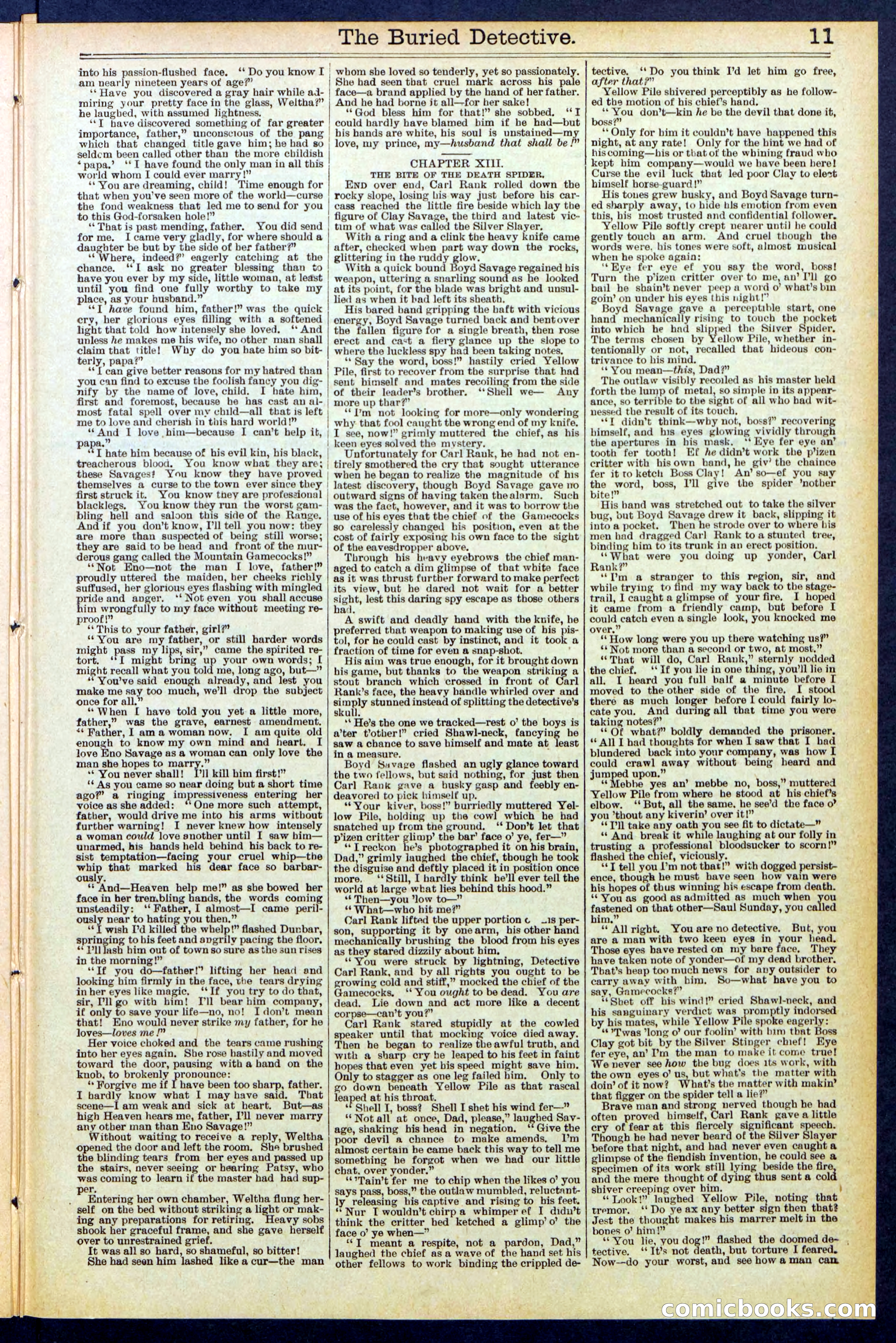 Beadle's New York Dime Library, No. 547 — page 11 of 32