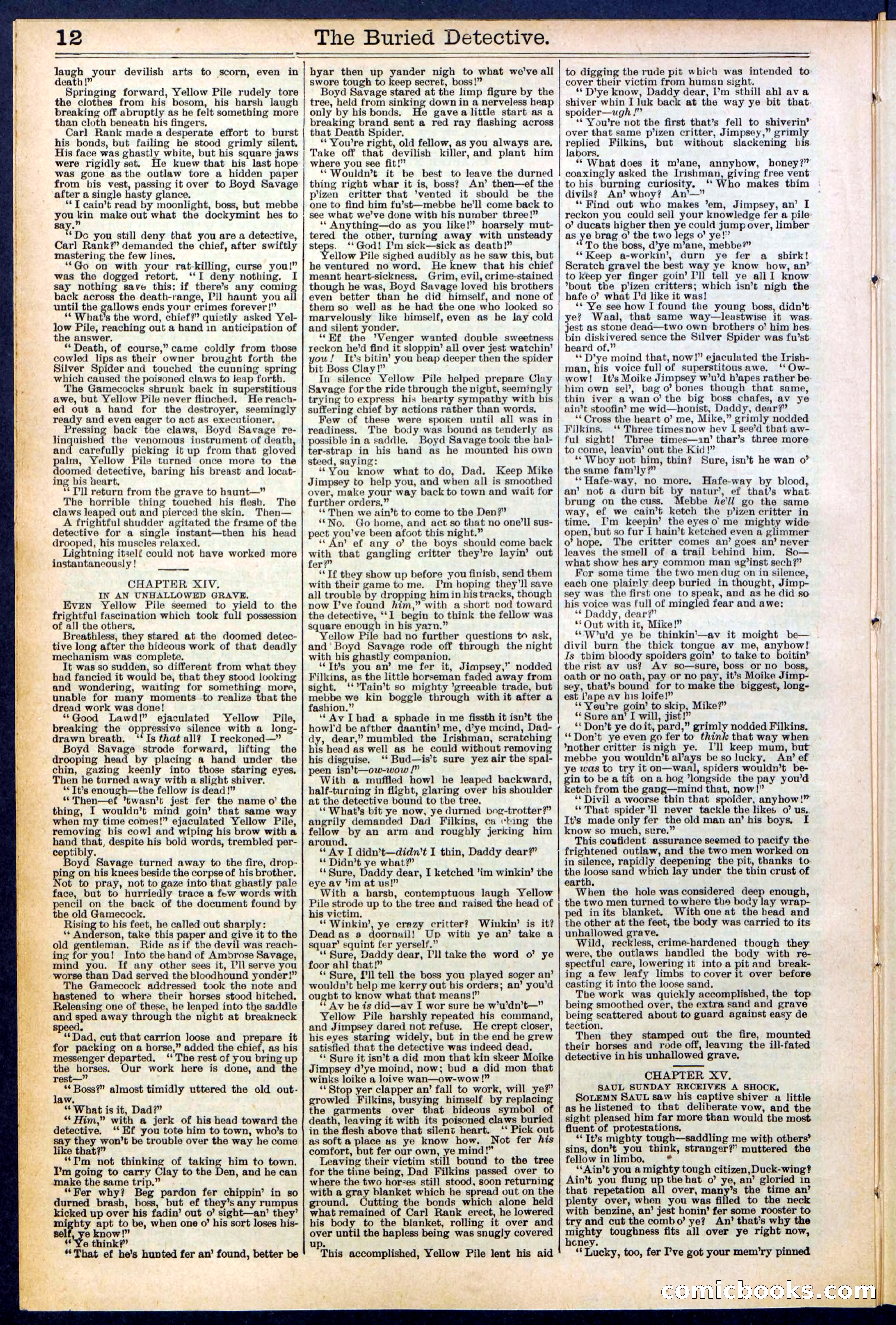 Beadle's New York Dime Library, No. 547 — page 12 of 32