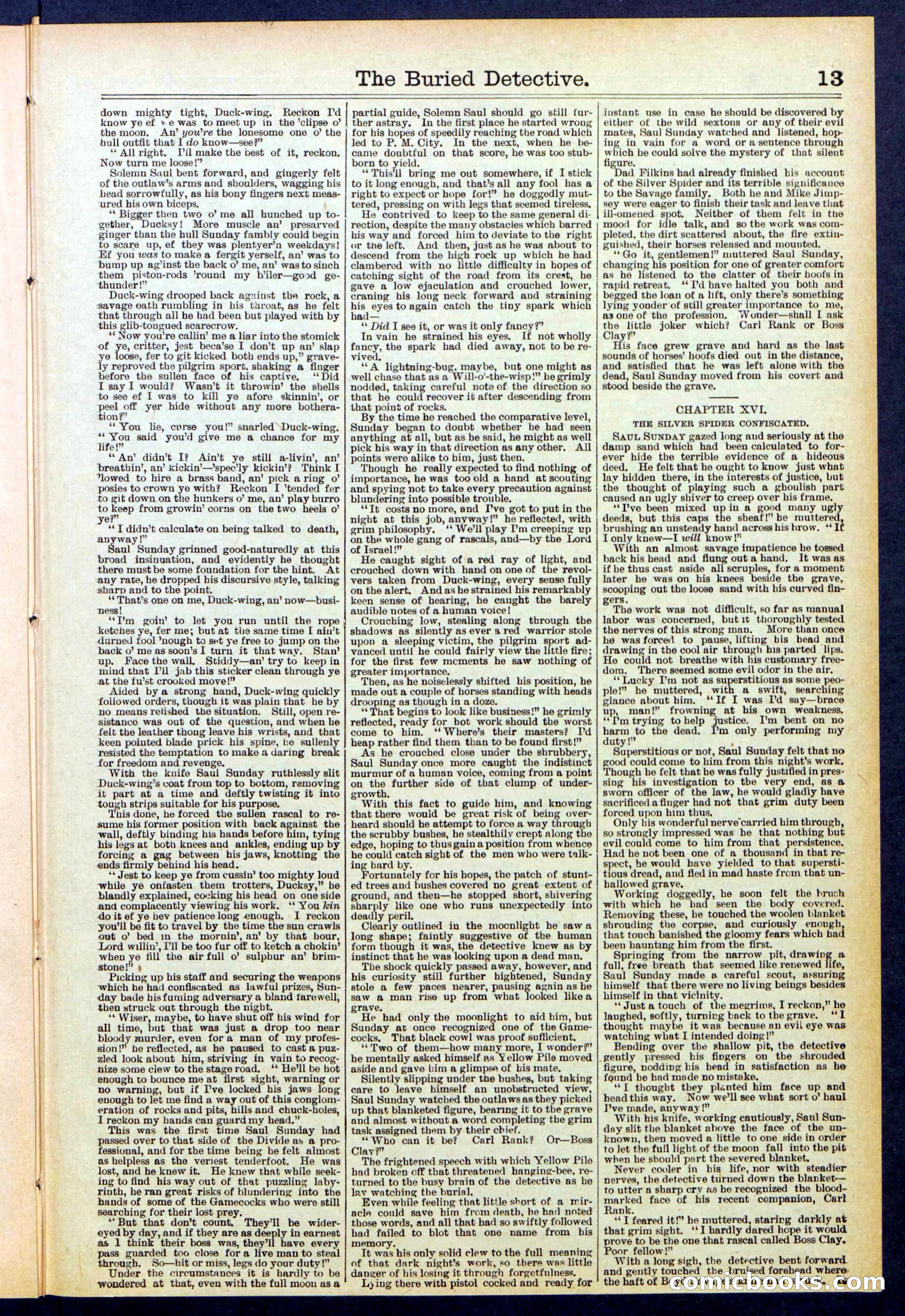 Beadle's New York Dime Library, No. 547 — page 13 of 32