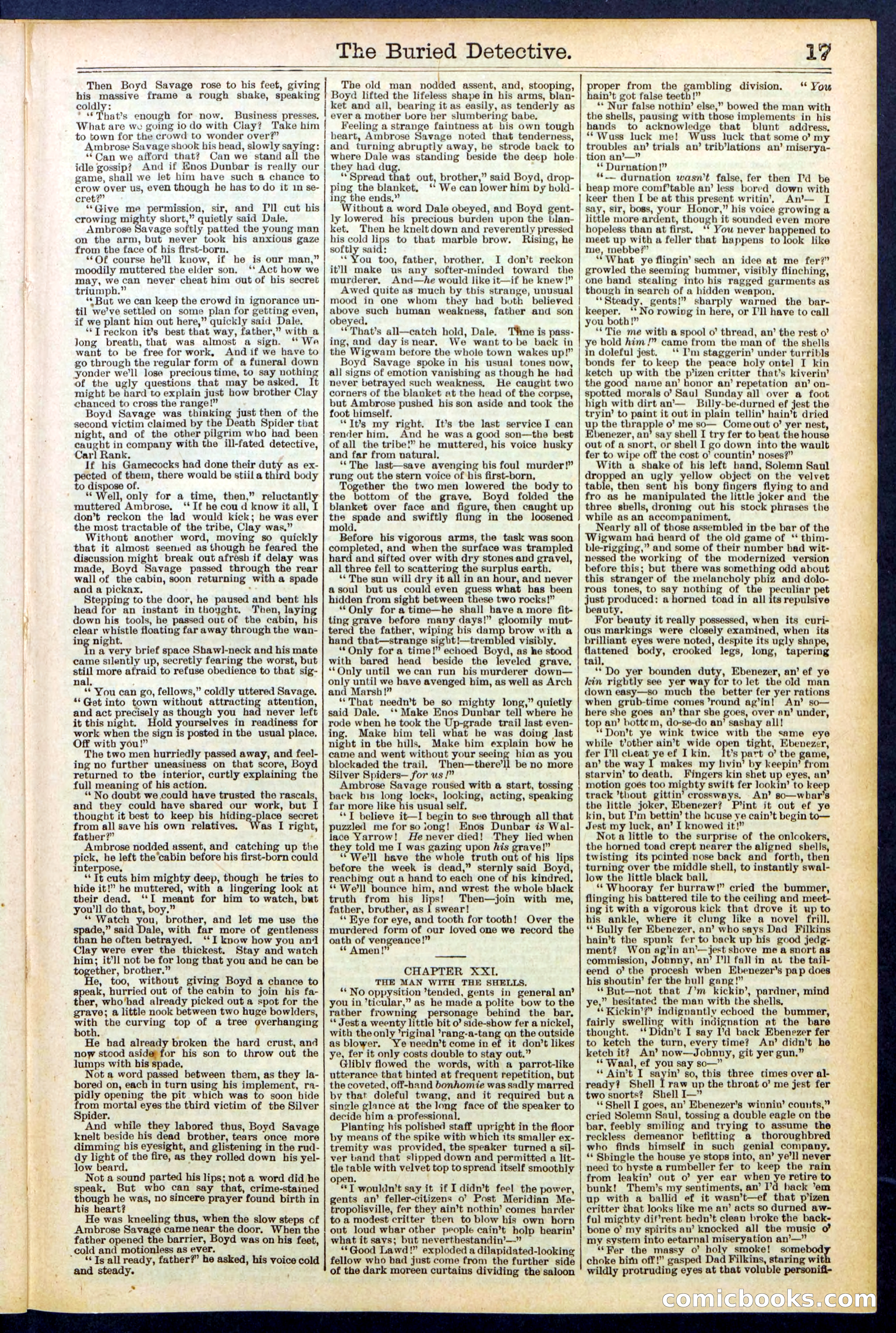 Beadle's New York Dime Library, No. 547 — page 17 of 32