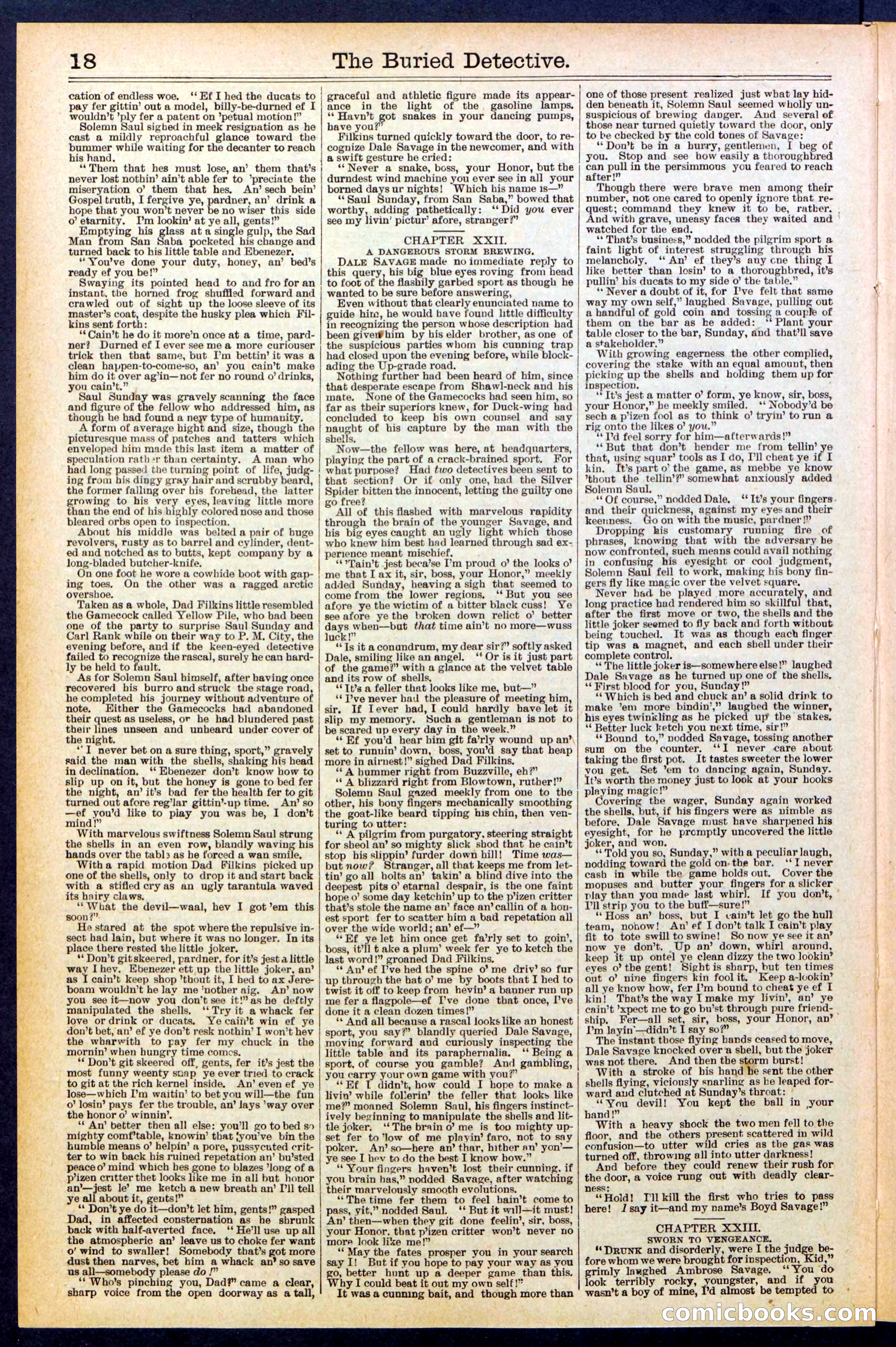 Beadle's New York Dime Library, No. 547 — page 18 of 32