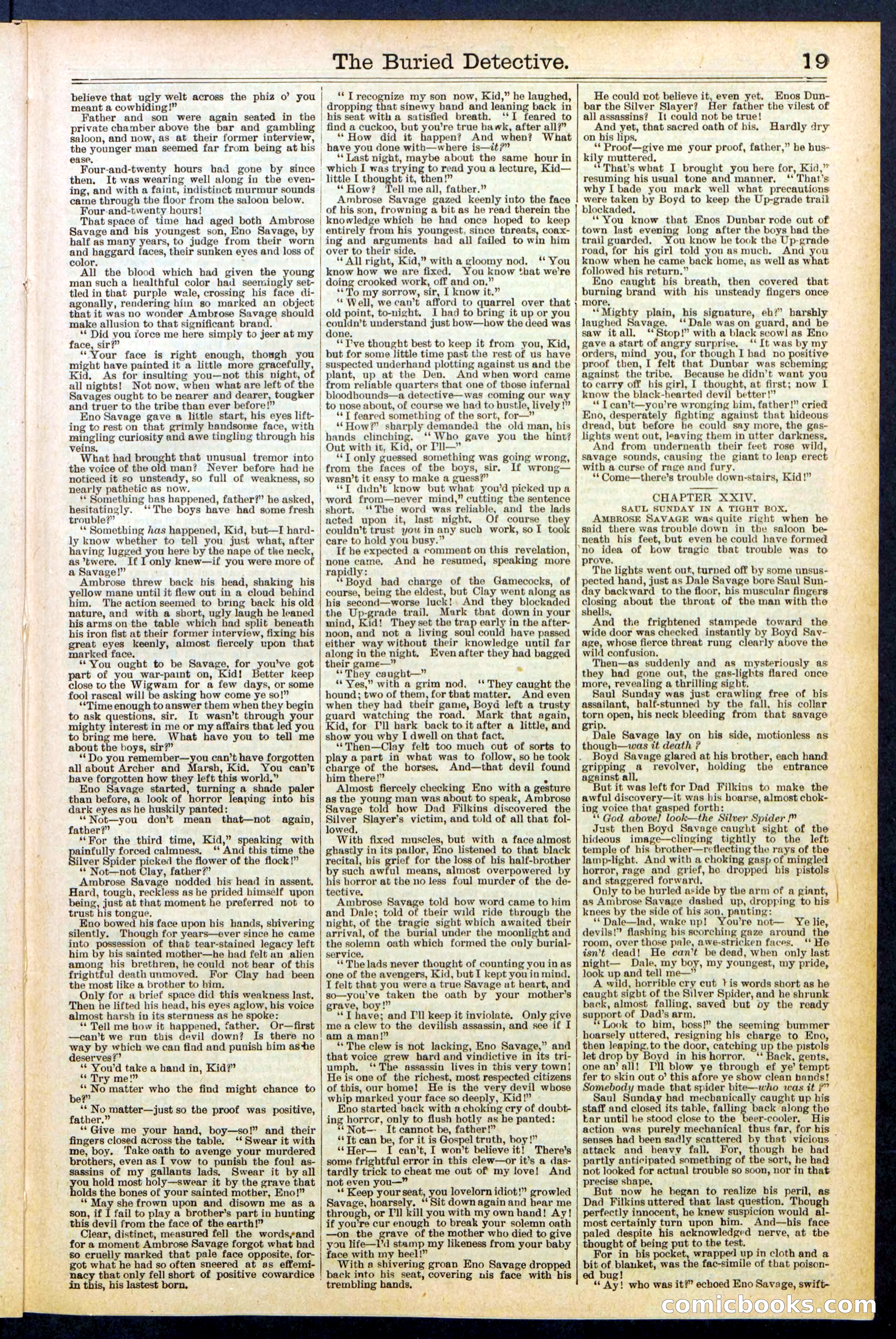 Beadle's New York Dime Library, No. 547 — page 19 of 32