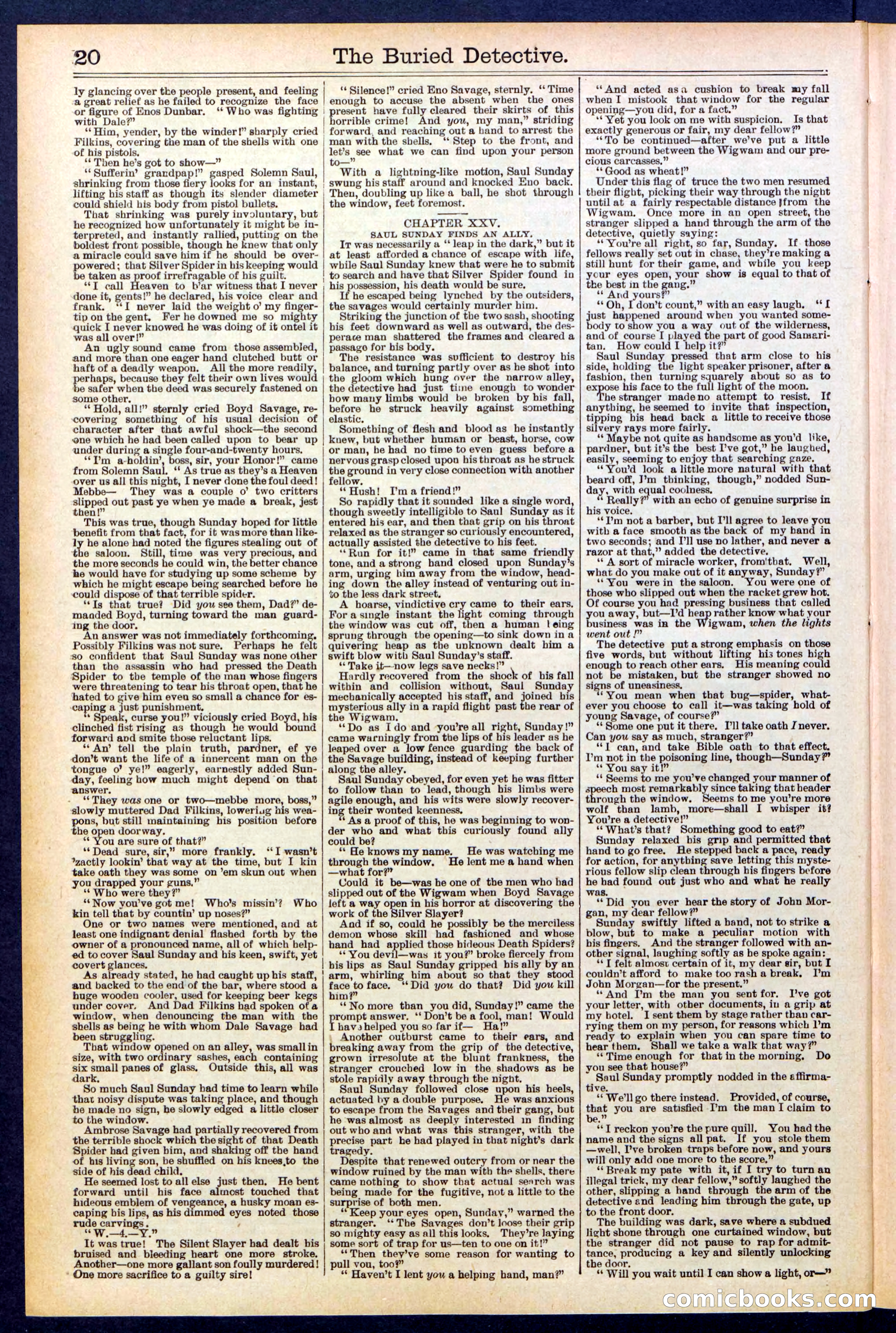 Beadle's New York Dime Library, No. 547 — page 20 of 32