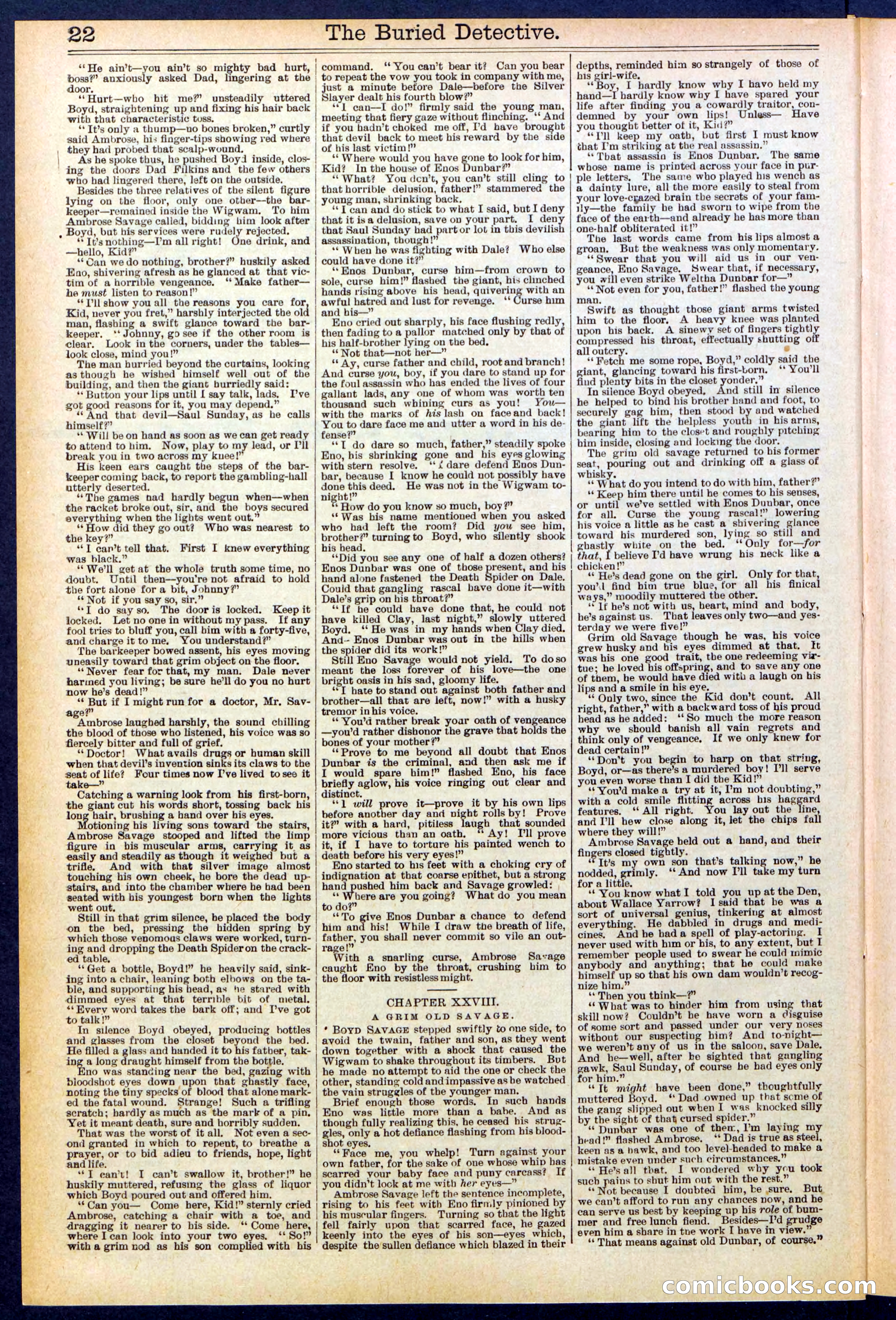 Beadle's New York Dime Library, No. 547 — page 22 of 32