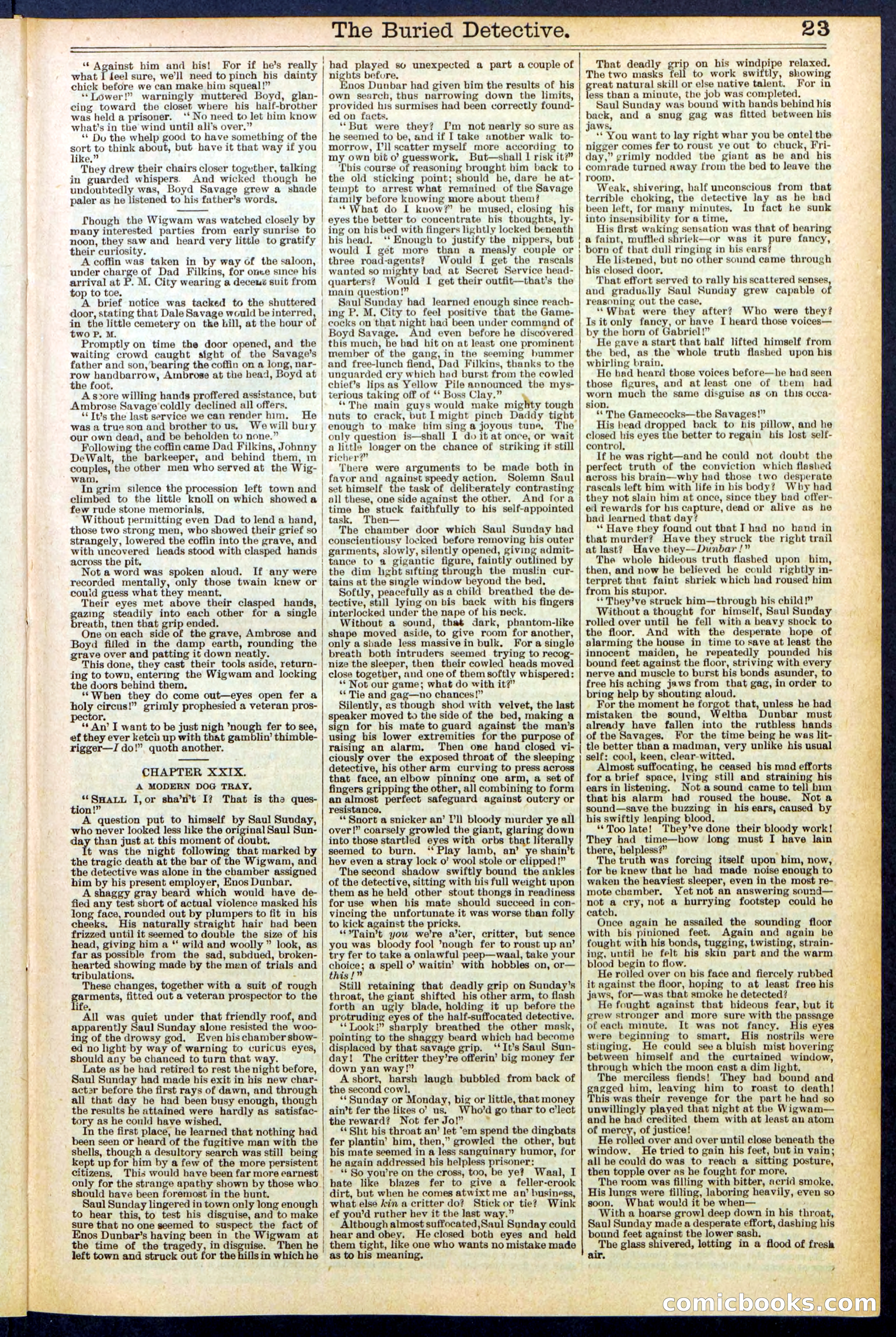 Beadle's New York Dime Library, No. 547 — page 23 of 32