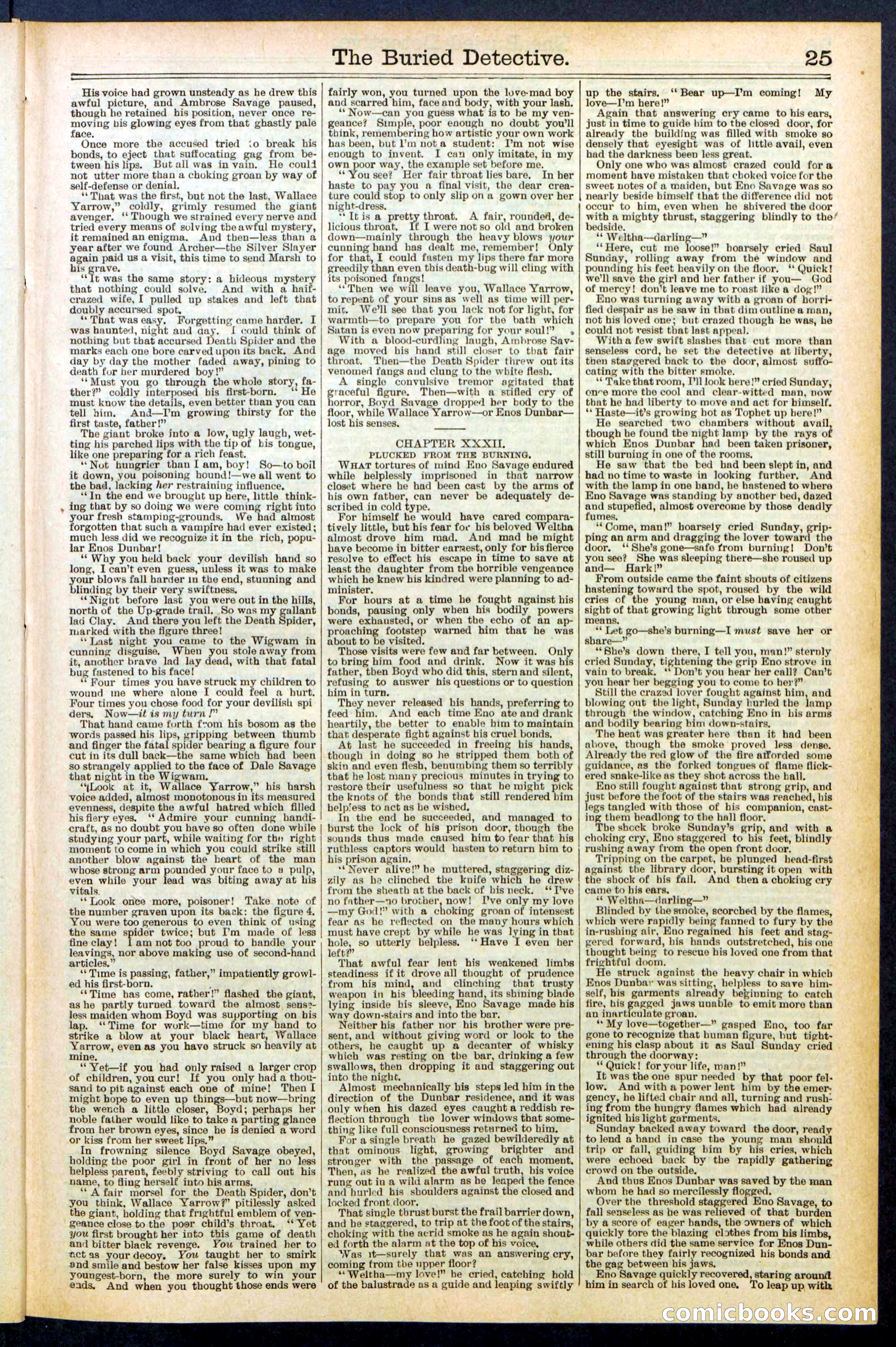 Beadle's New York Dime Library, No. 547 — page 25 of 32