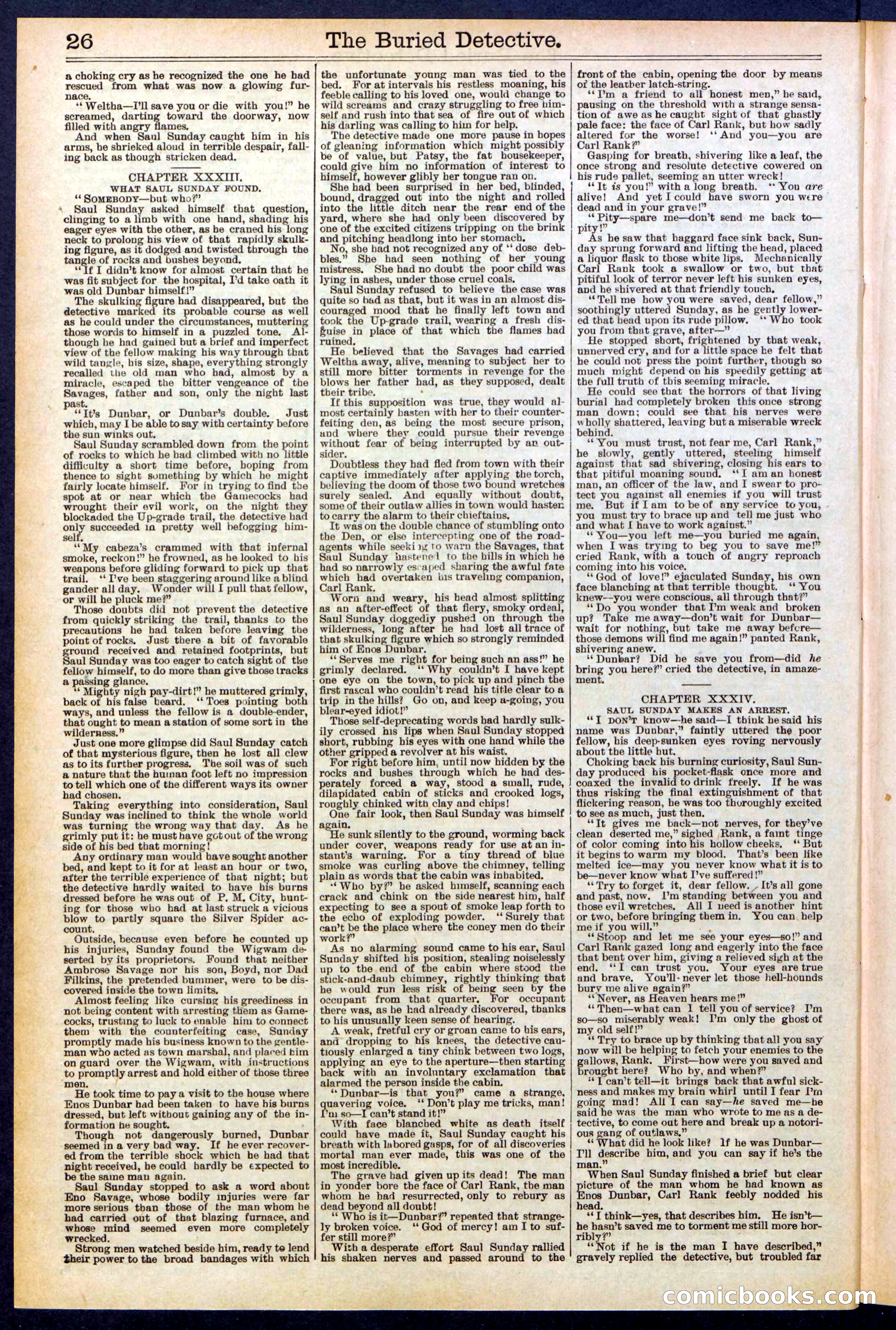 Beadle's New York Dime Library, No. 547 — page 26 of 32