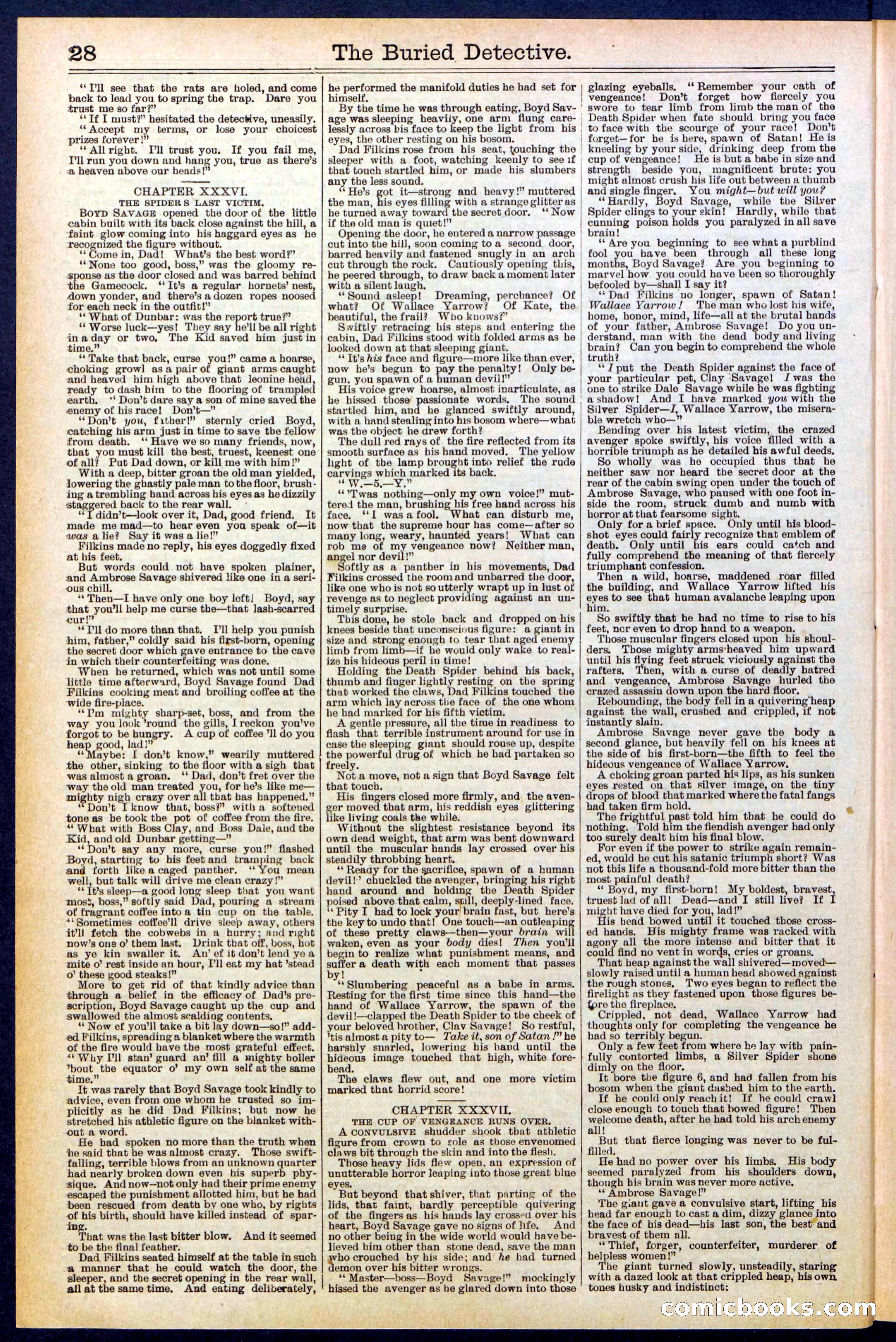 Beadle's New York Dime Library, No. 547 — page 28 of 32