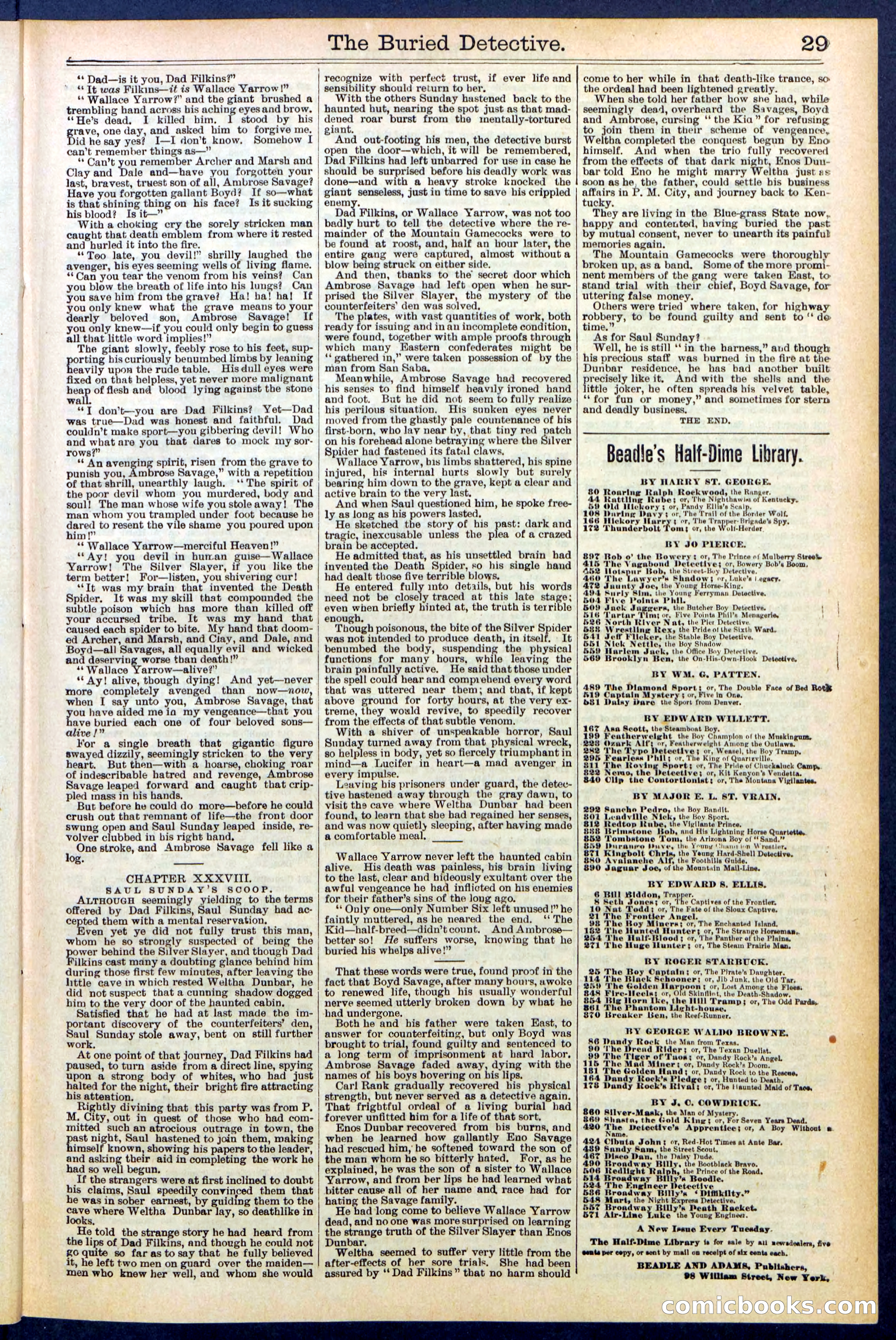 Beadle's New York Dime Library, No. 547 — page 29 of 32
