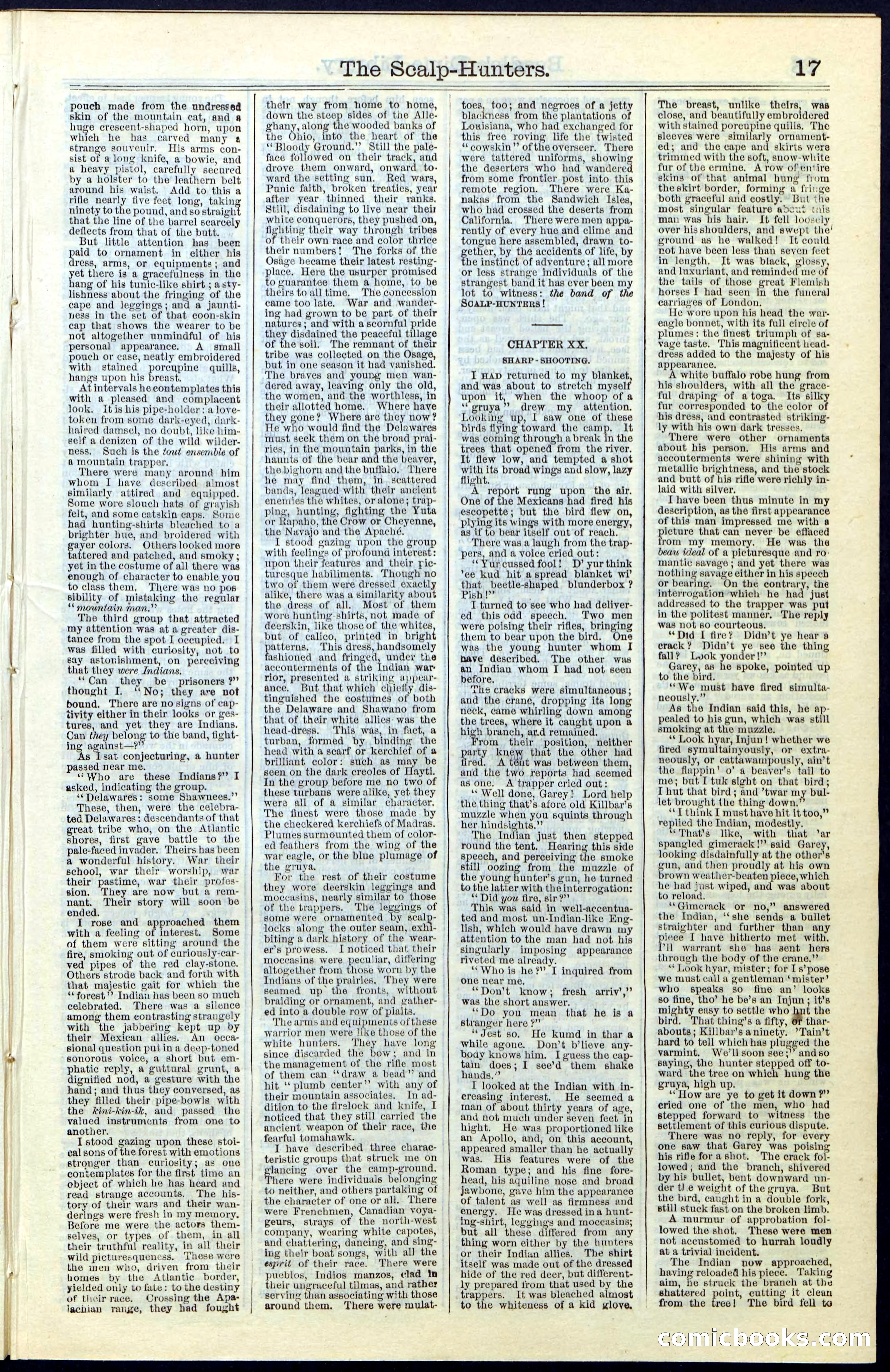 Beadle's New York Dime Library, No. 55 — page 17 of 48