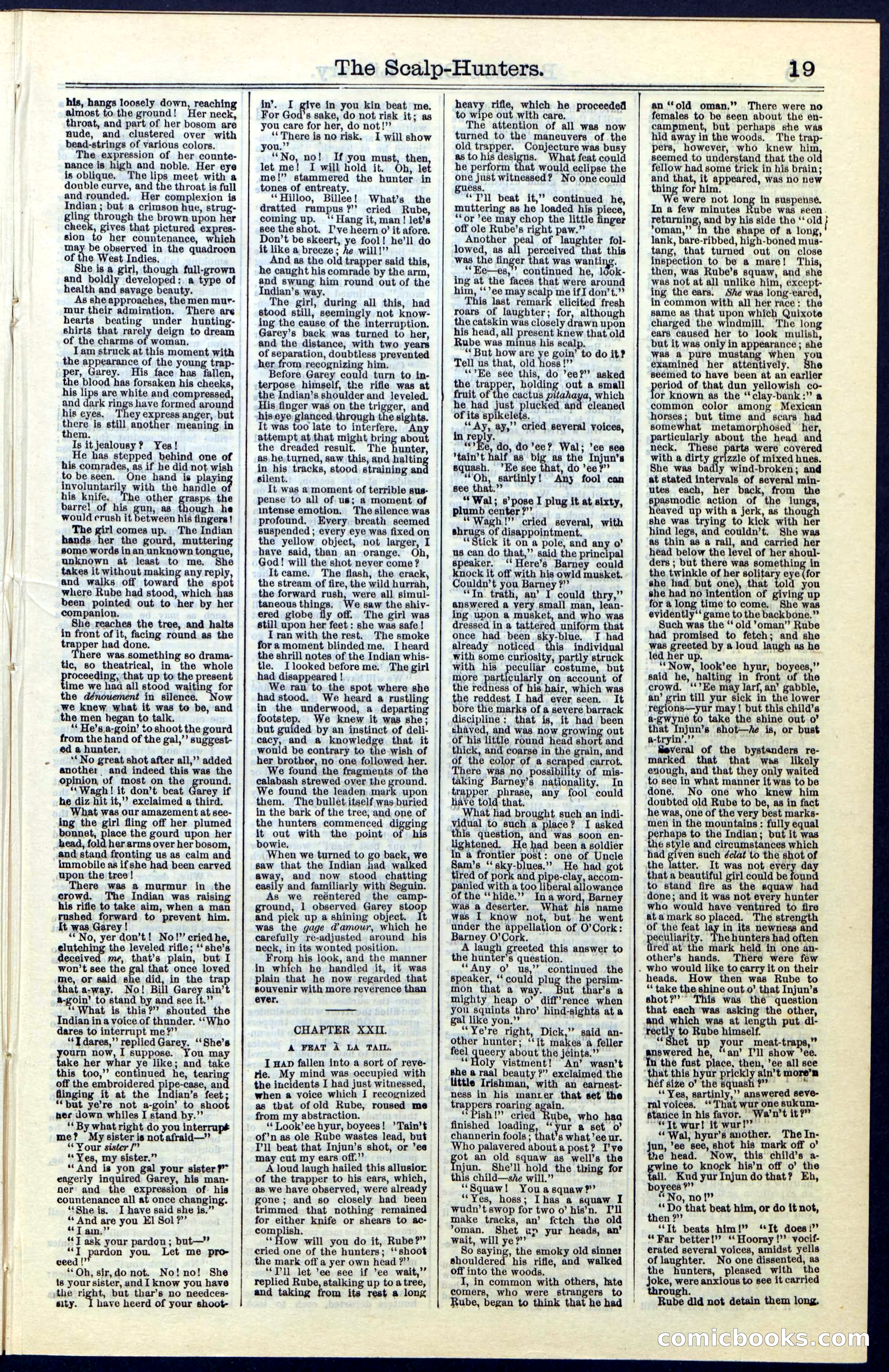 Beadle's New York Dime Library, No. 55 — page 19 of 48