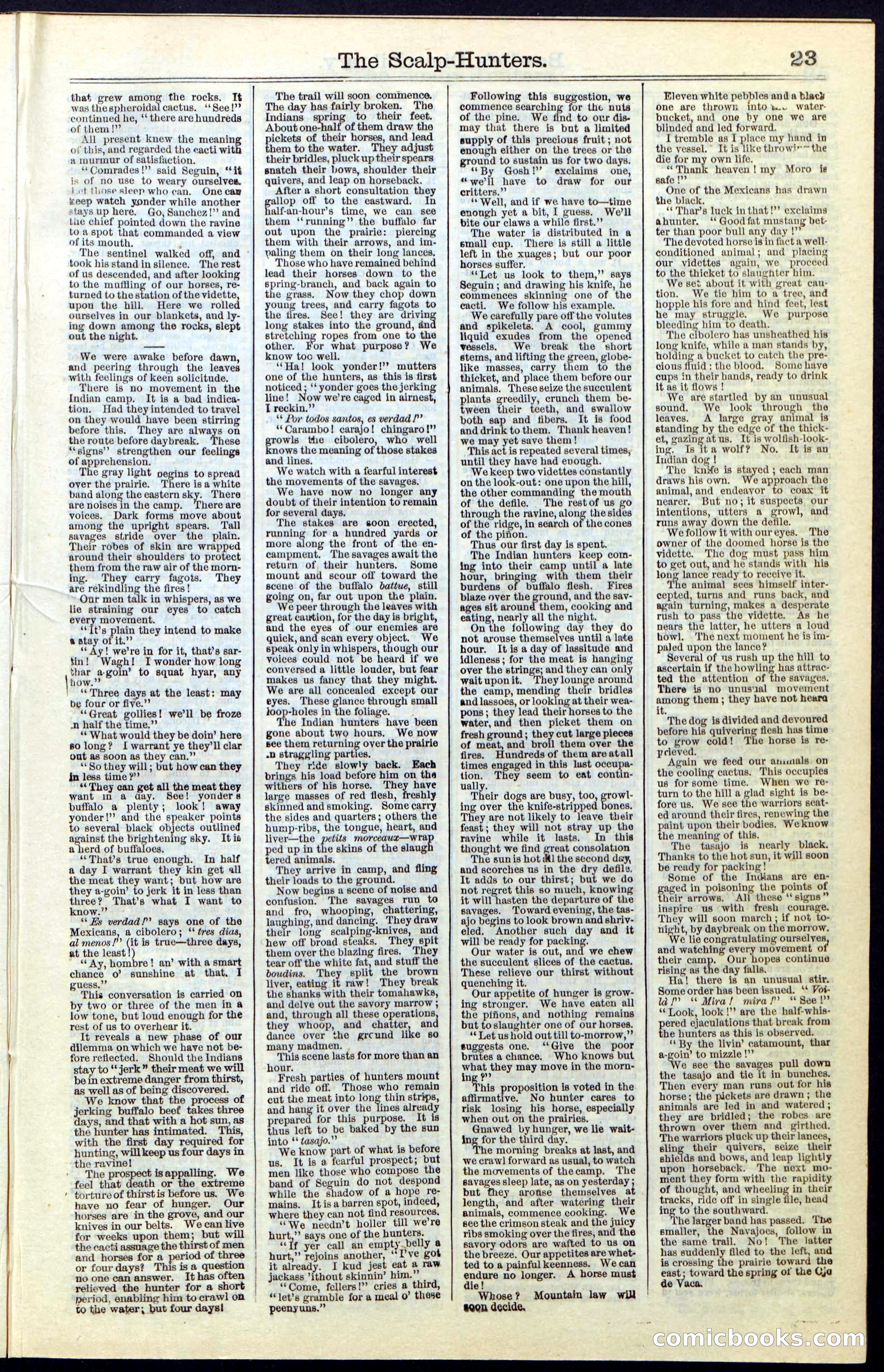 Beadle's New York Dime Library, No. 55 — page 23 of 48