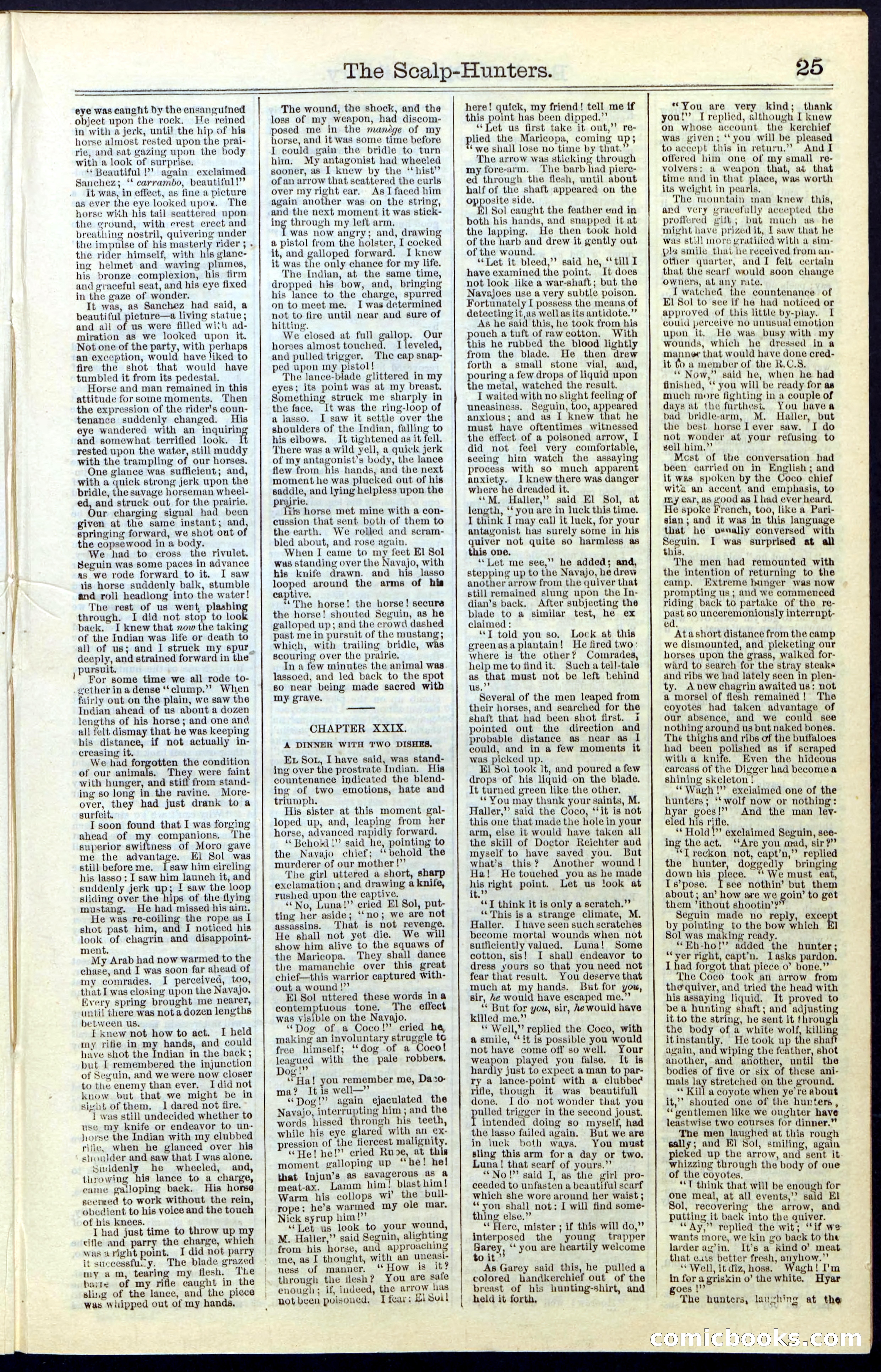 Beadle's New York Dime Library, No. 55 — page 25 of 48