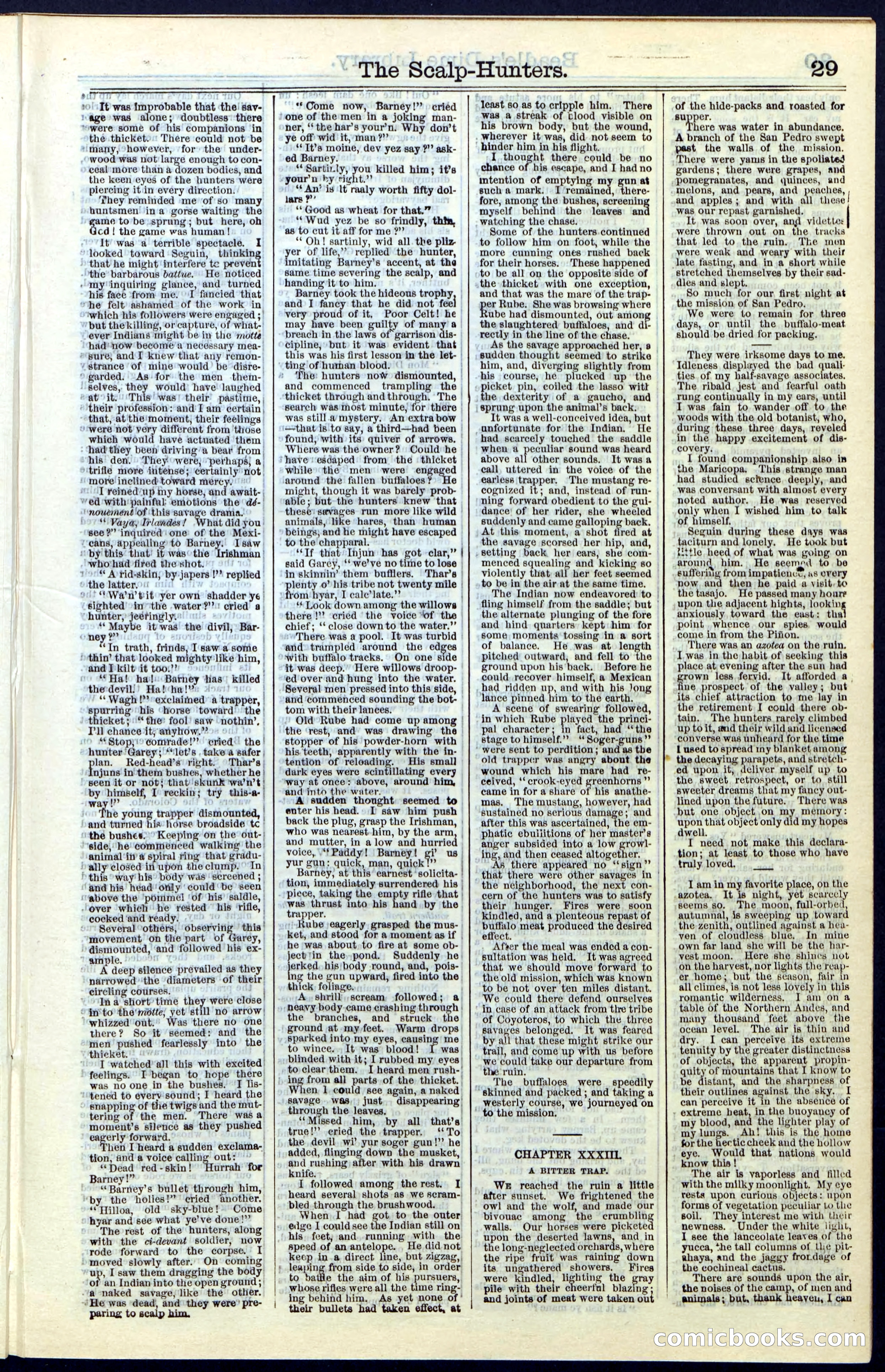 Beadle's New York Dime Library, No. 55 — page 29 of 48