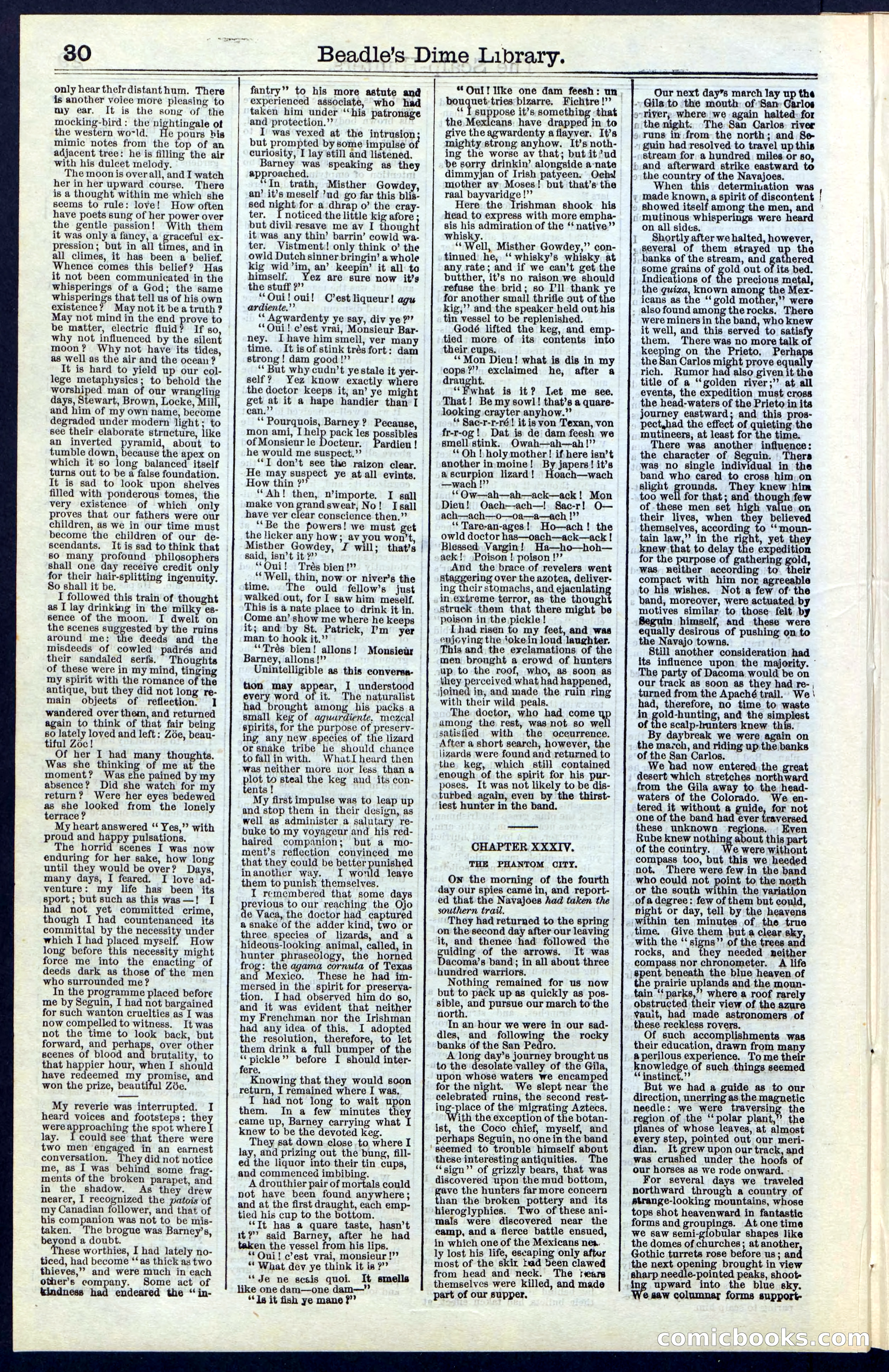 Beadle's New York Dime Library, No. 55 — page 30 of 48