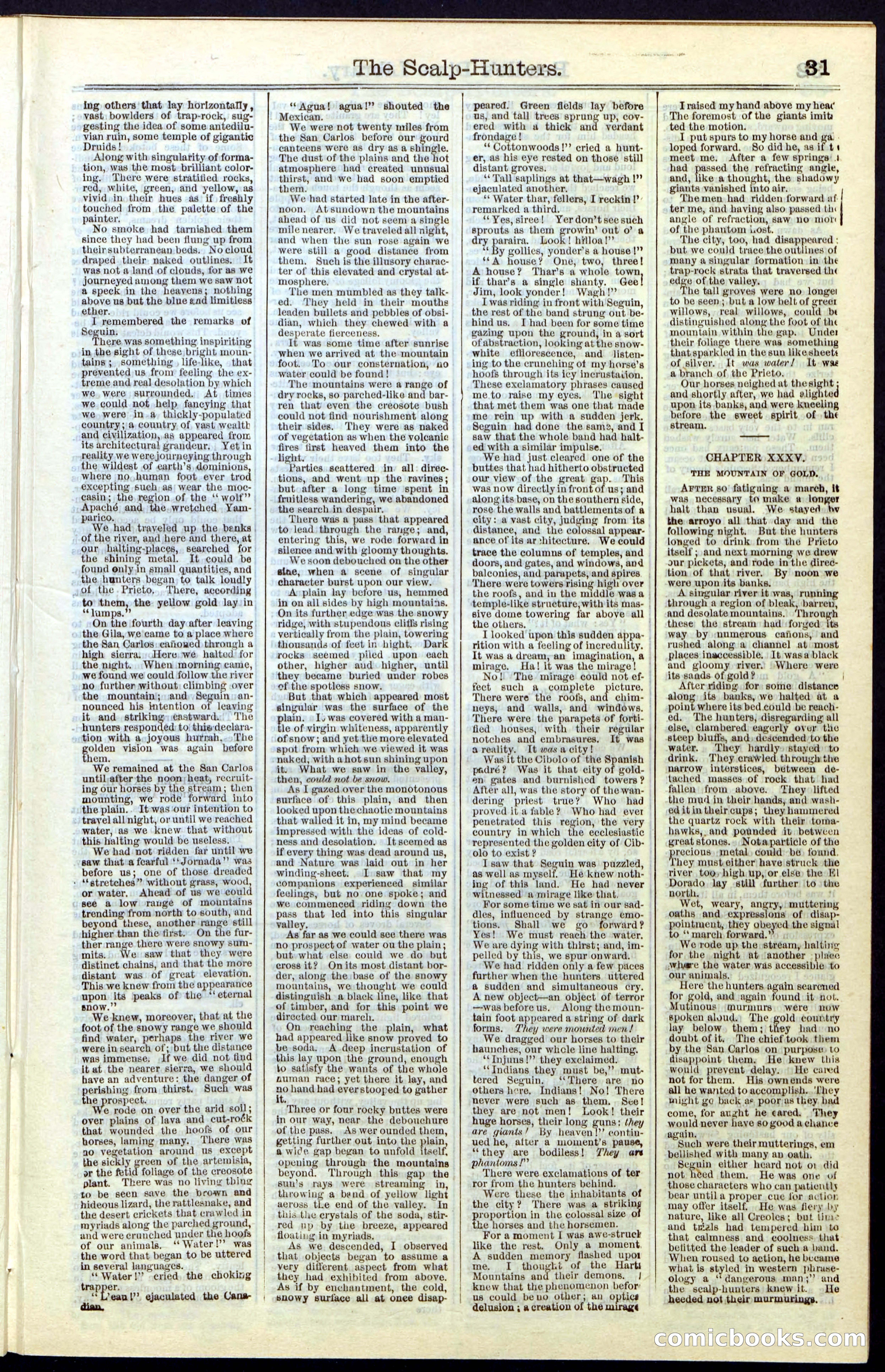Beadle's New York Dime Library, No. 55 — page 31 of 48