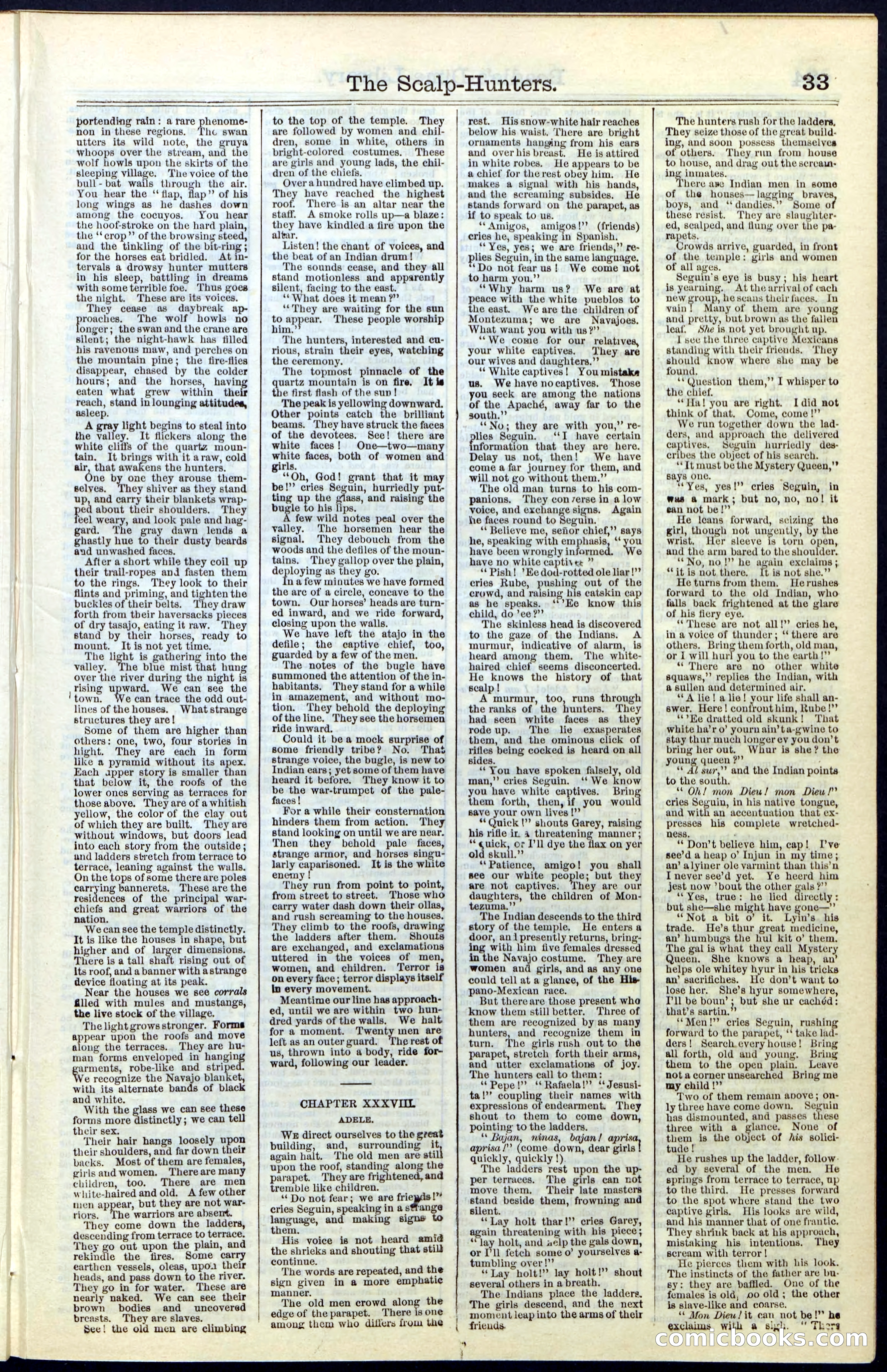 Beadle's New York Dime Library, No. 55 — page 33 of 48