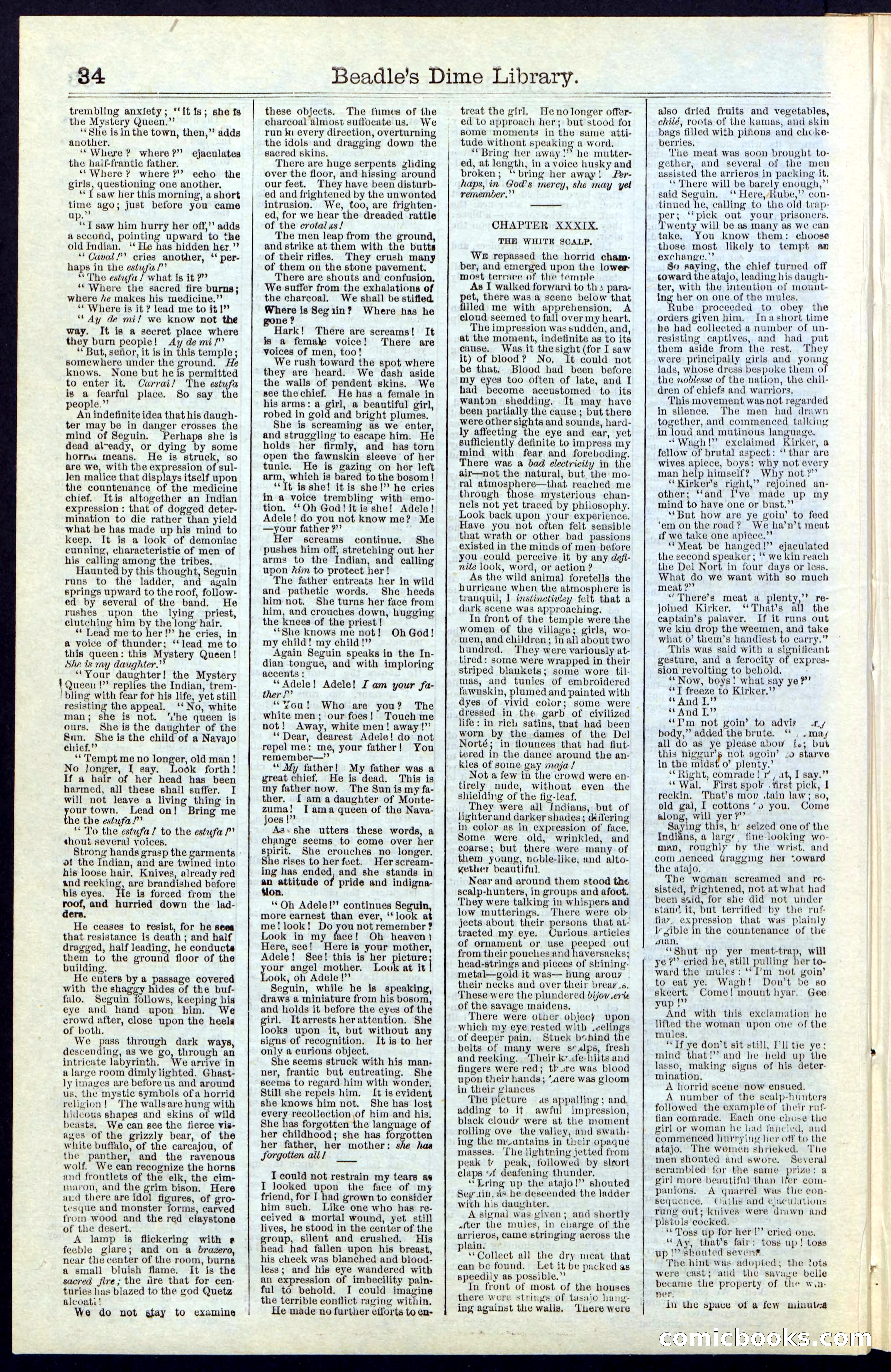 Beadle's New York Dime Library, No. 55 — page 34 of 48