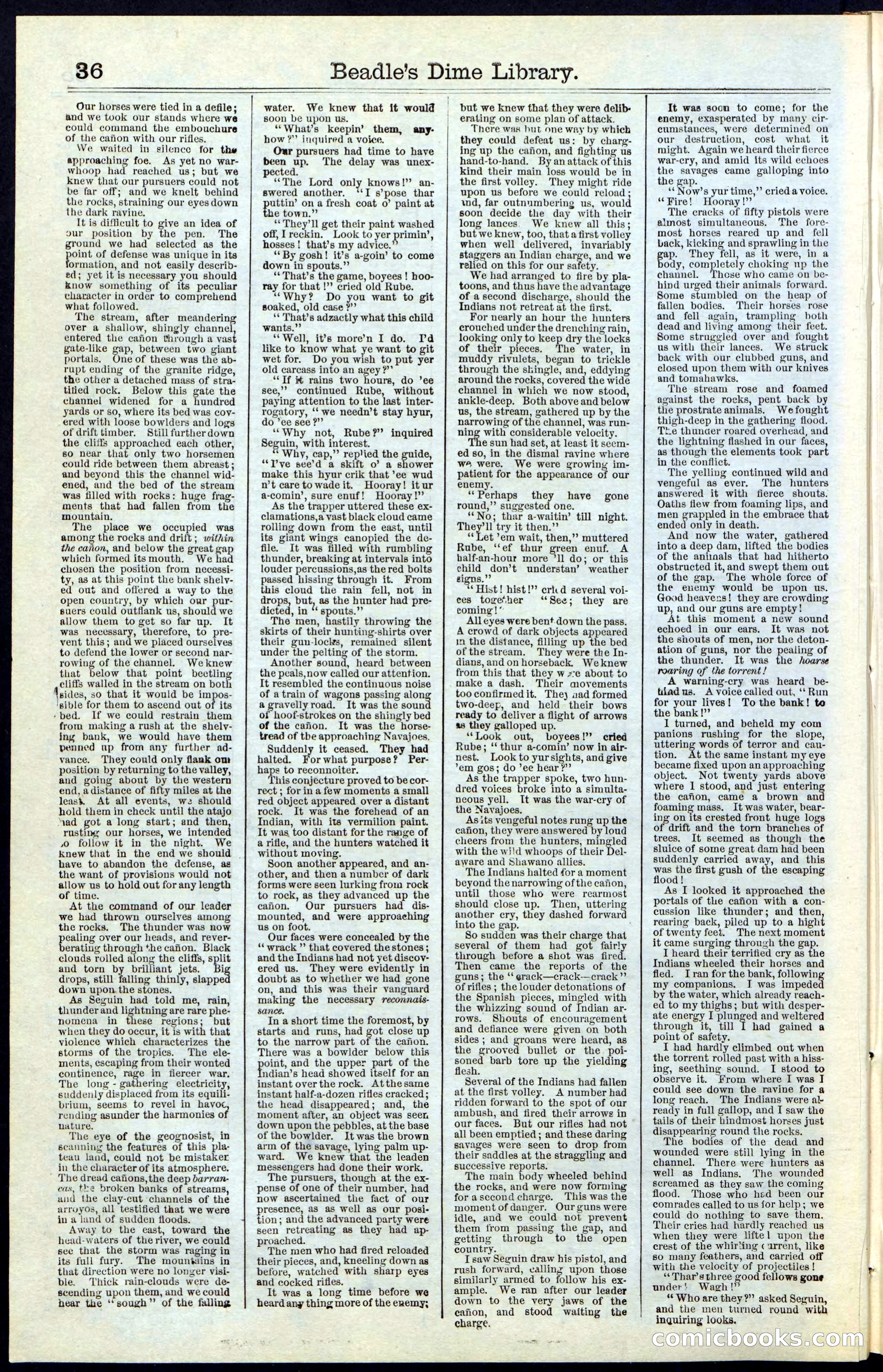 Beadle's New York Dime Library, No. 55 — page 36 of 48