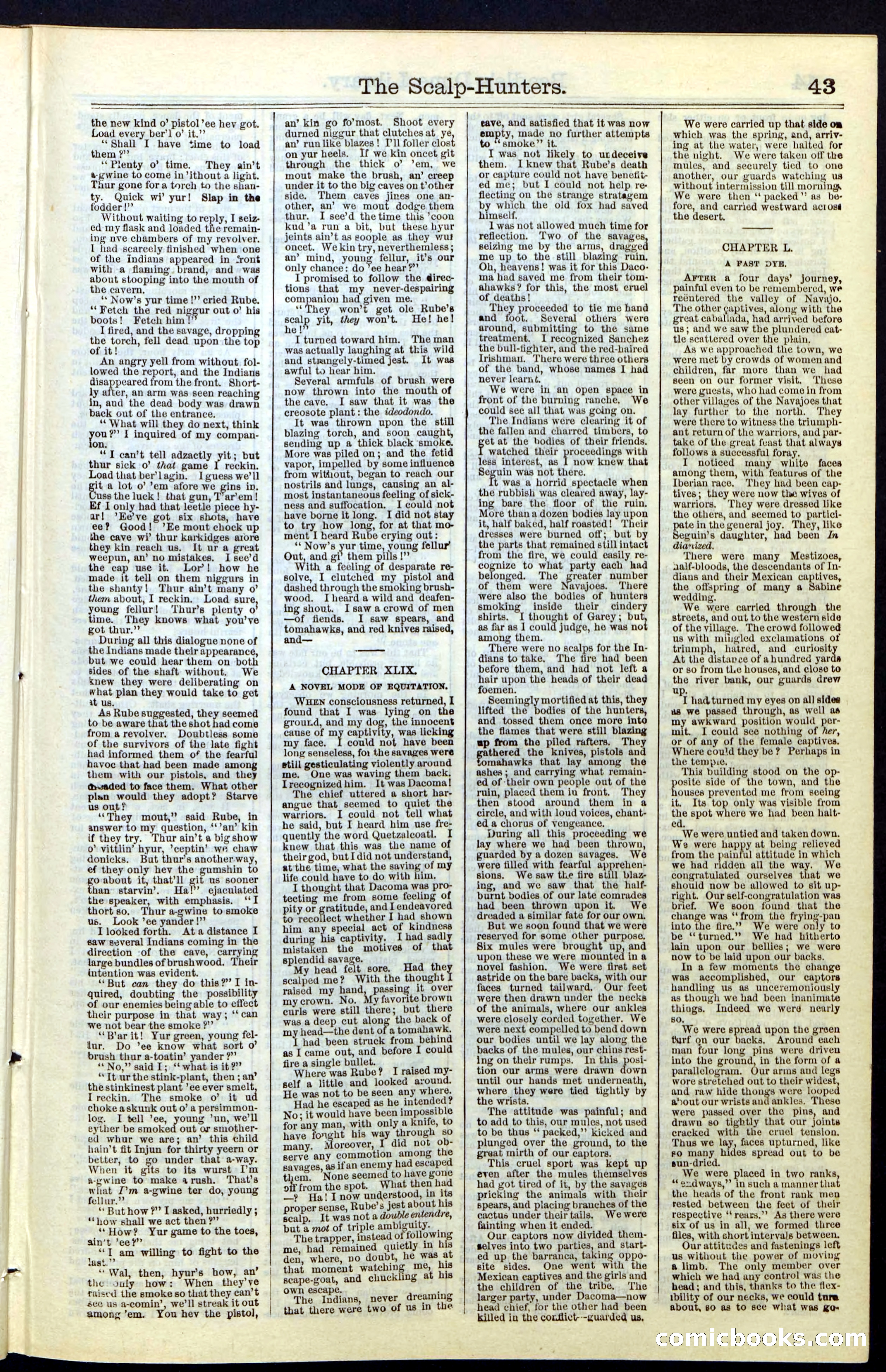 Beadle's New York Dime Library, No. 55 — page 43 of 48