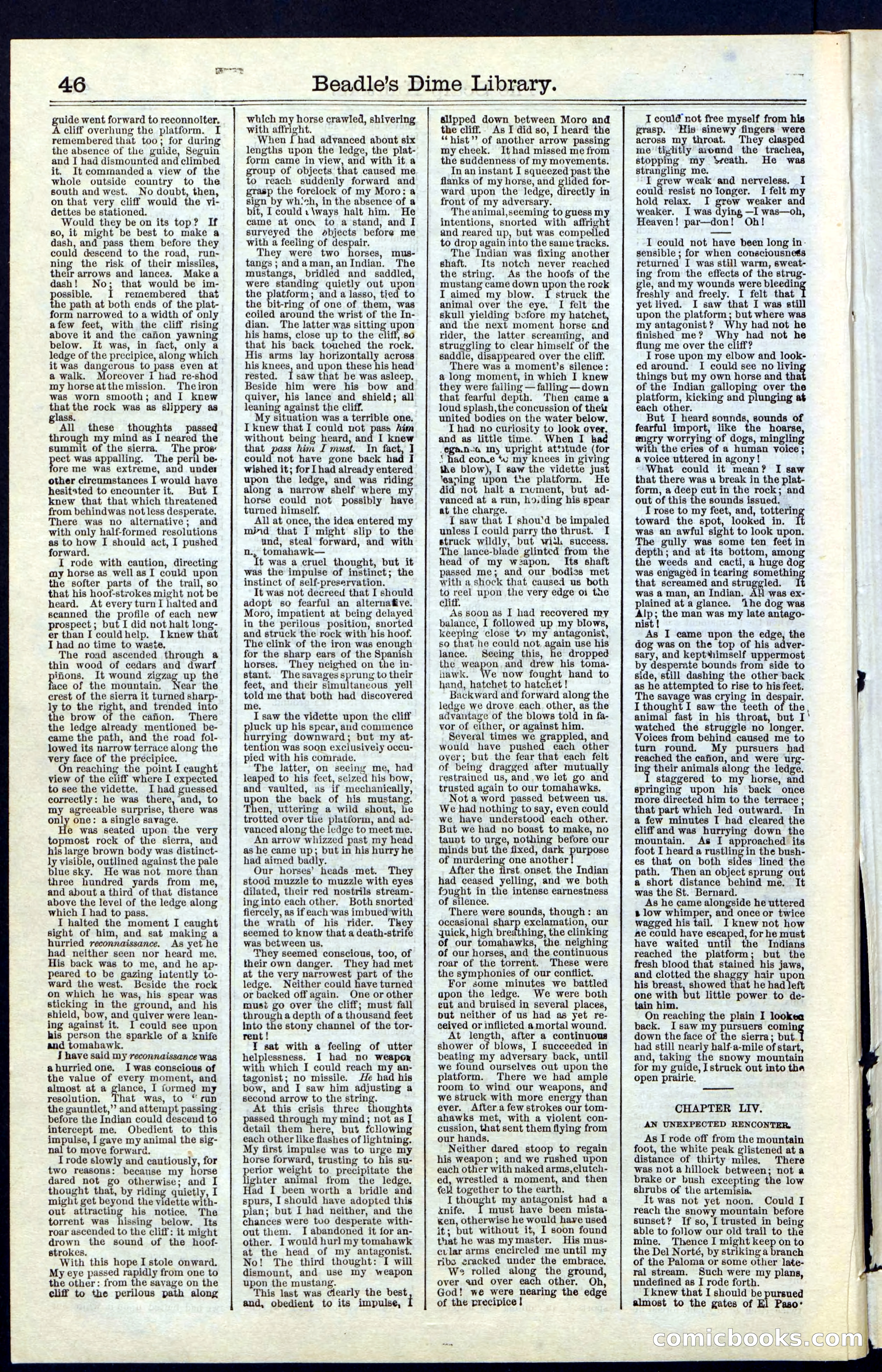 Beadle's New York Dime Library, No. 55 — page 46 of 48