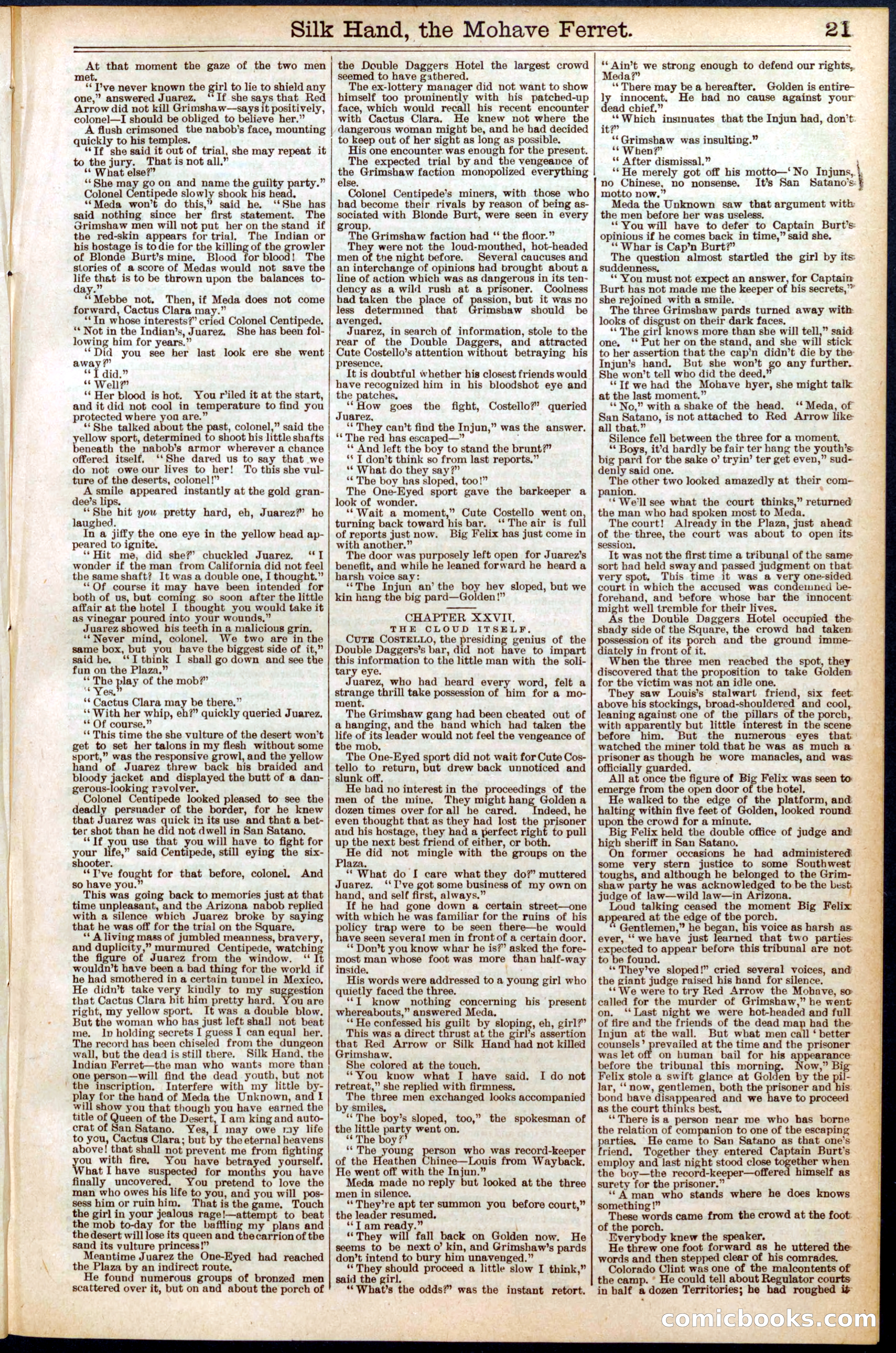Beadle's New York Dime Library No. 550 — page 21 of 32