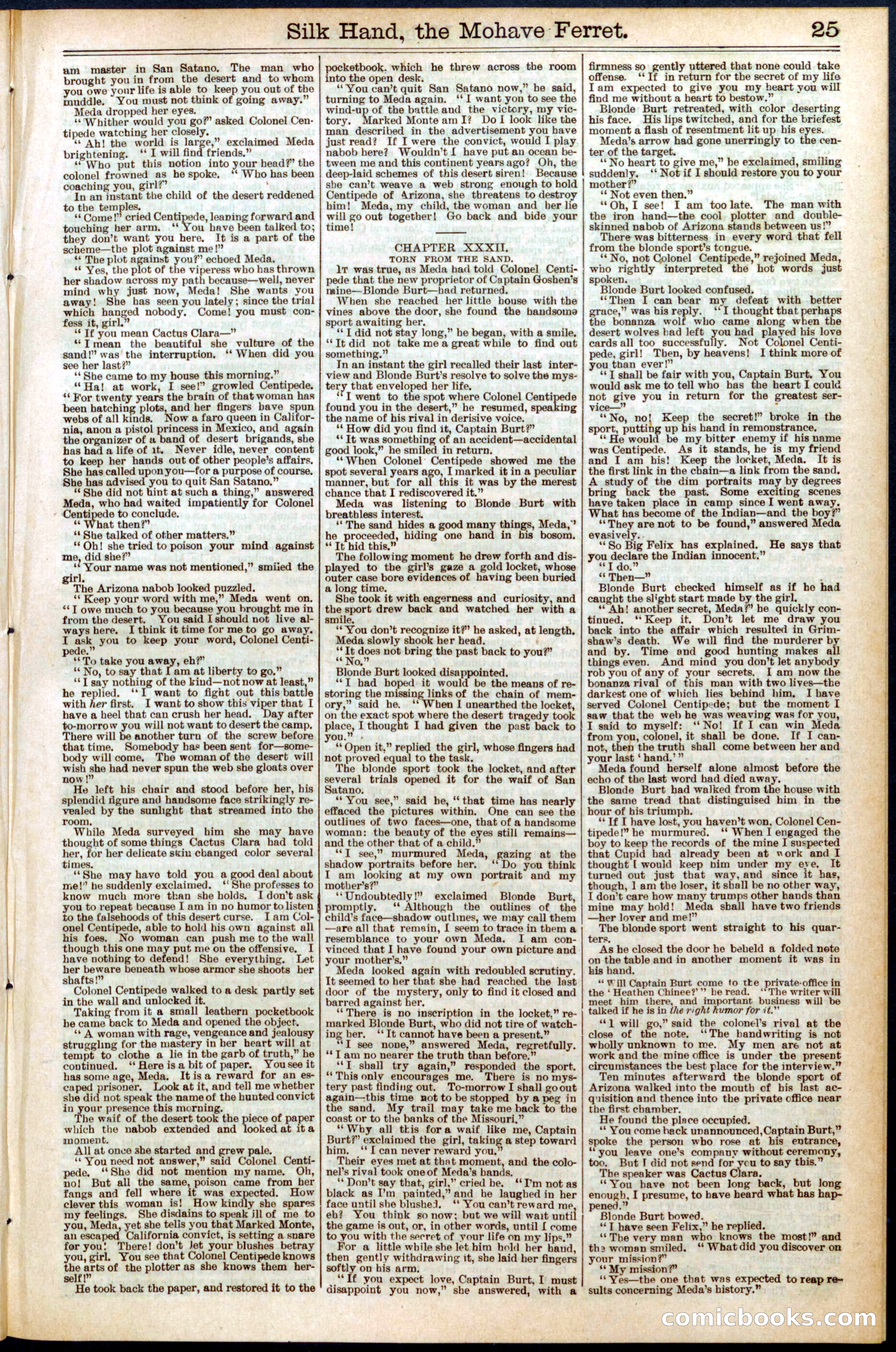 Beadle's New York Dime Library No. 550 — page 25 of 32