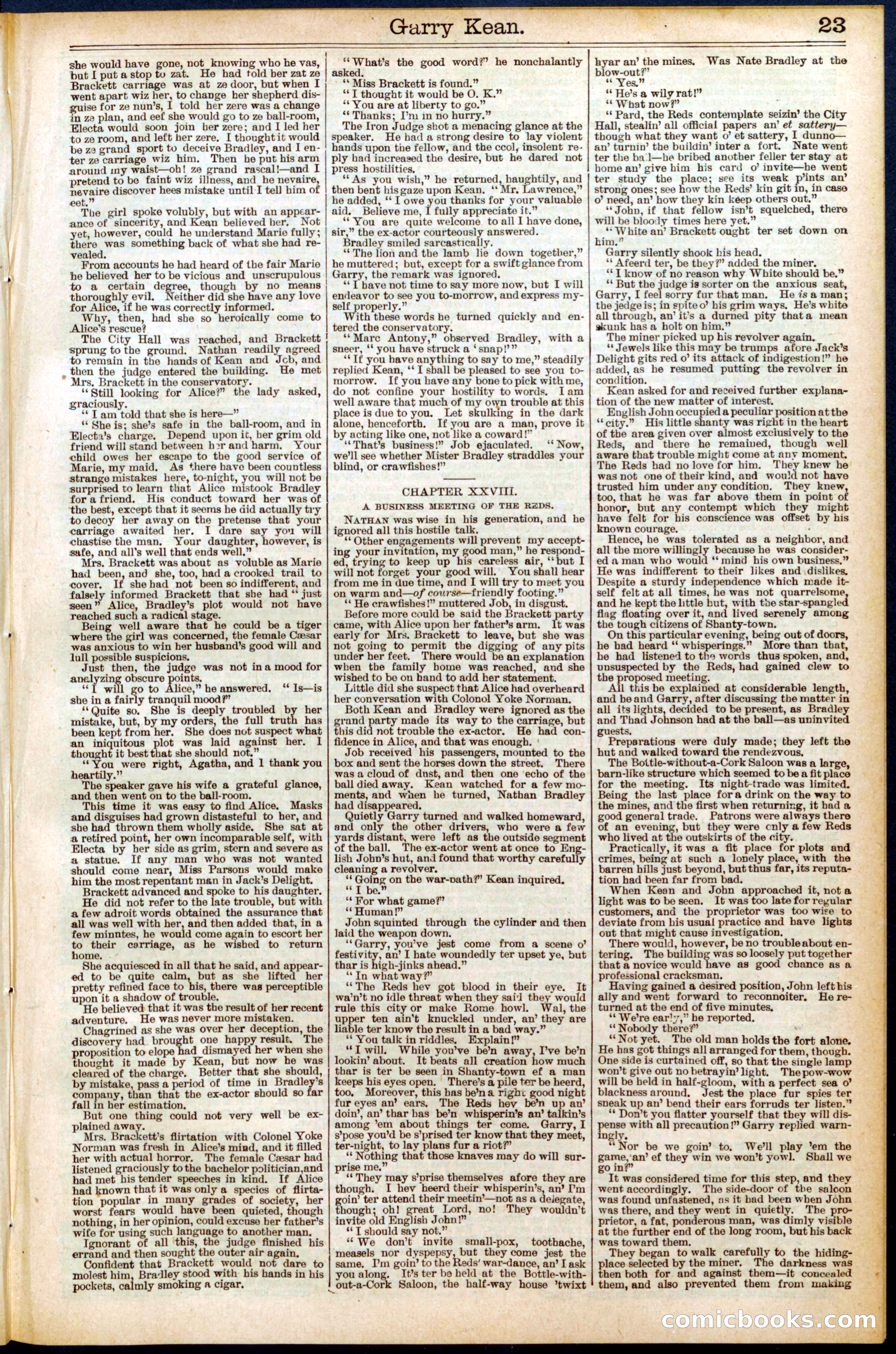 Beadle's New York Dime Library No. 551 — page 23 of 32