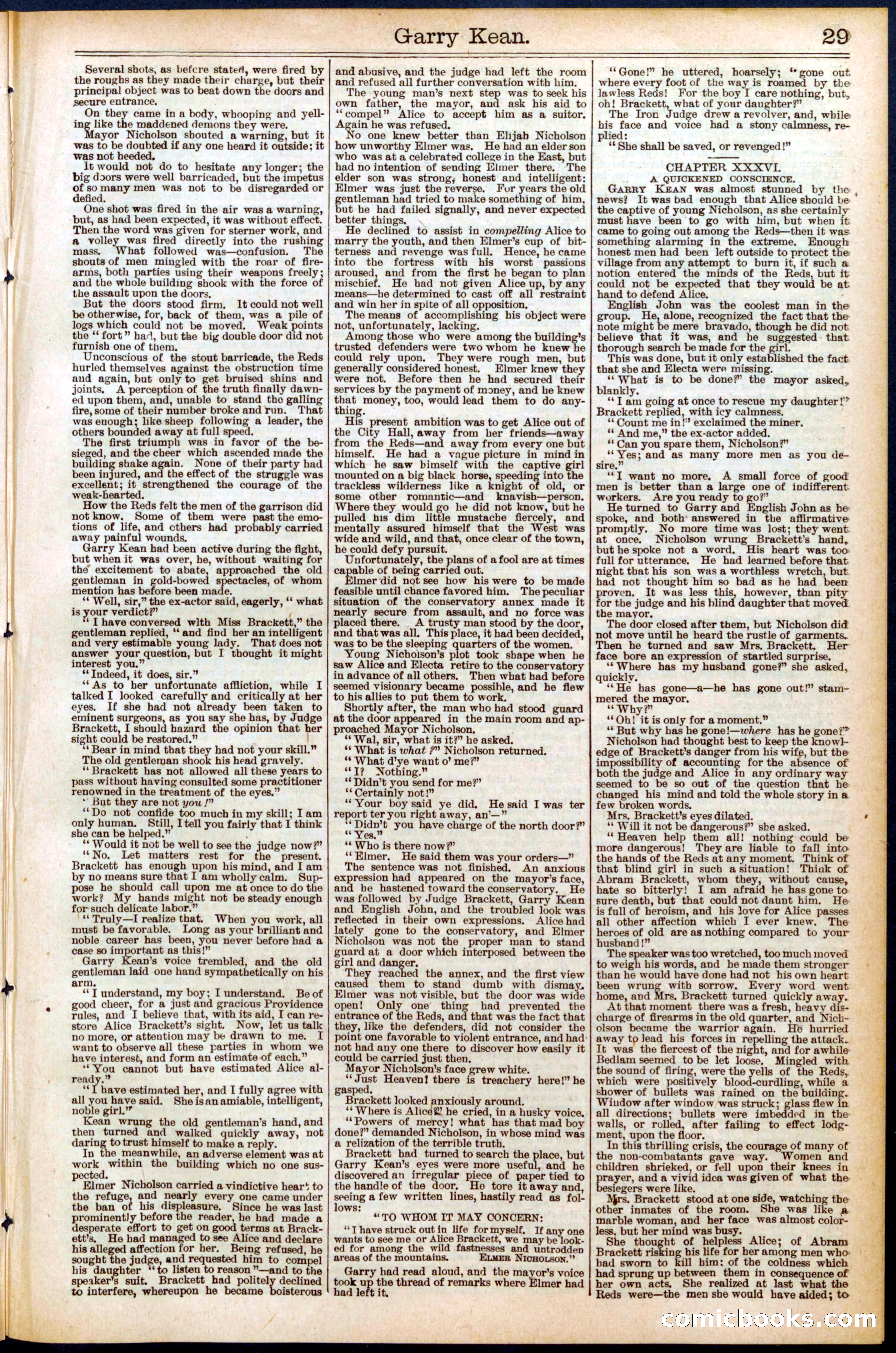 Beadle's New York Dime Library No. 551 — page 29 of 32