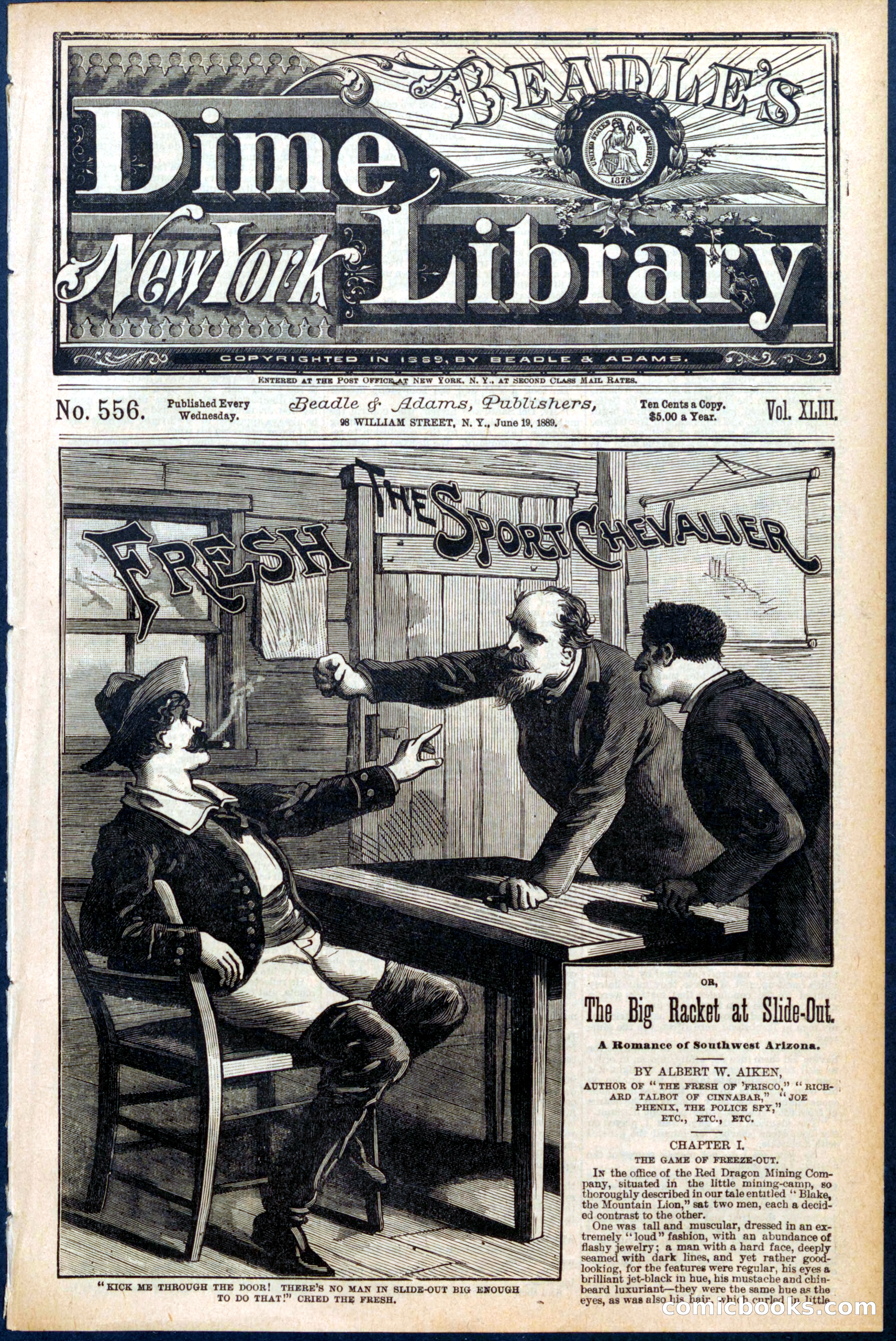 Beadle's New York Dime Library, No. 556 — page 1 of 32