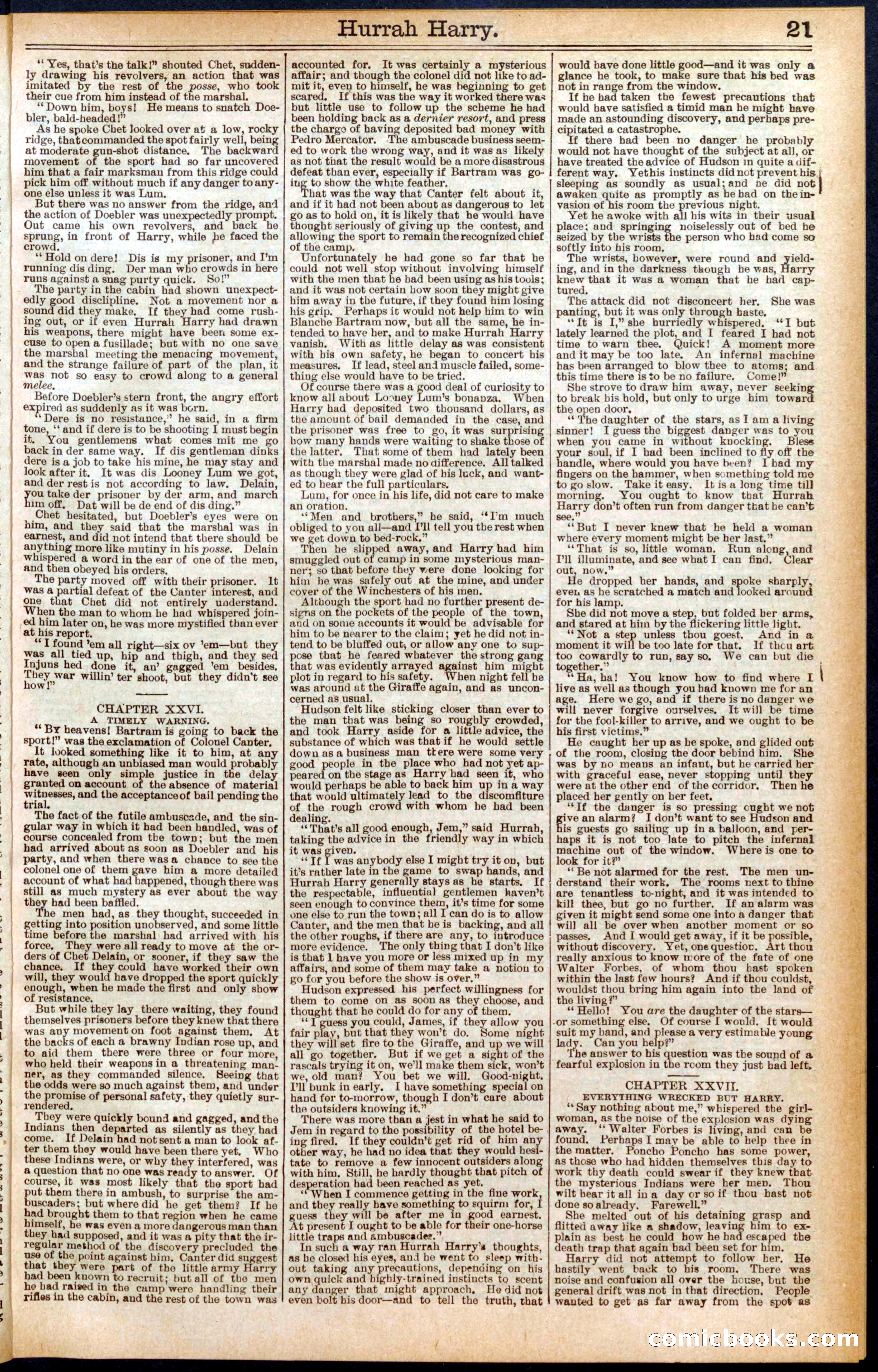 Beadle's Dime Library, No. 558 — page 21 of 32