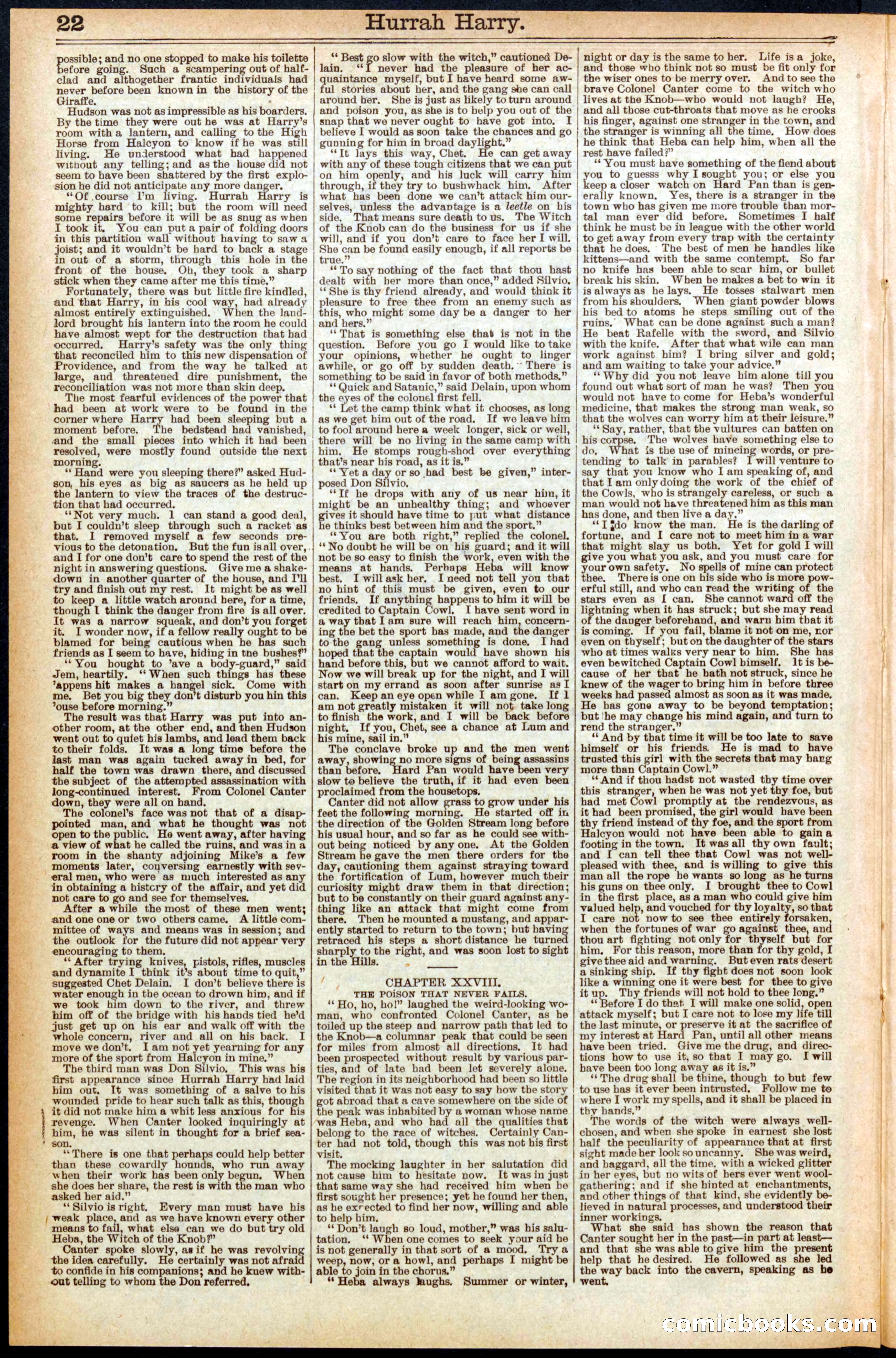 Beadle's Dime Library, No. 558 — page 22 of 32