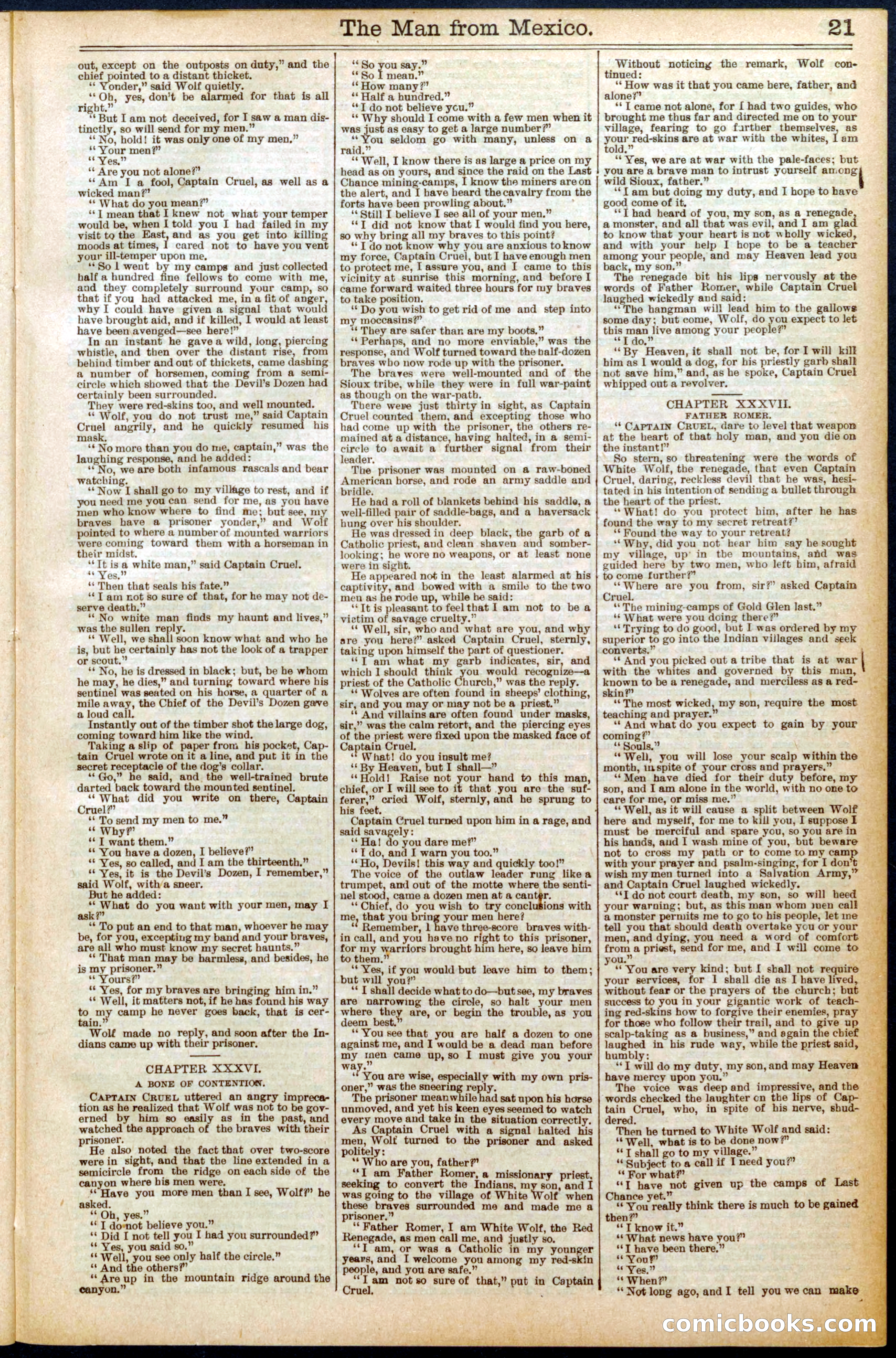 Beadle's New York Dime Library No. 560 — page 21 of 32