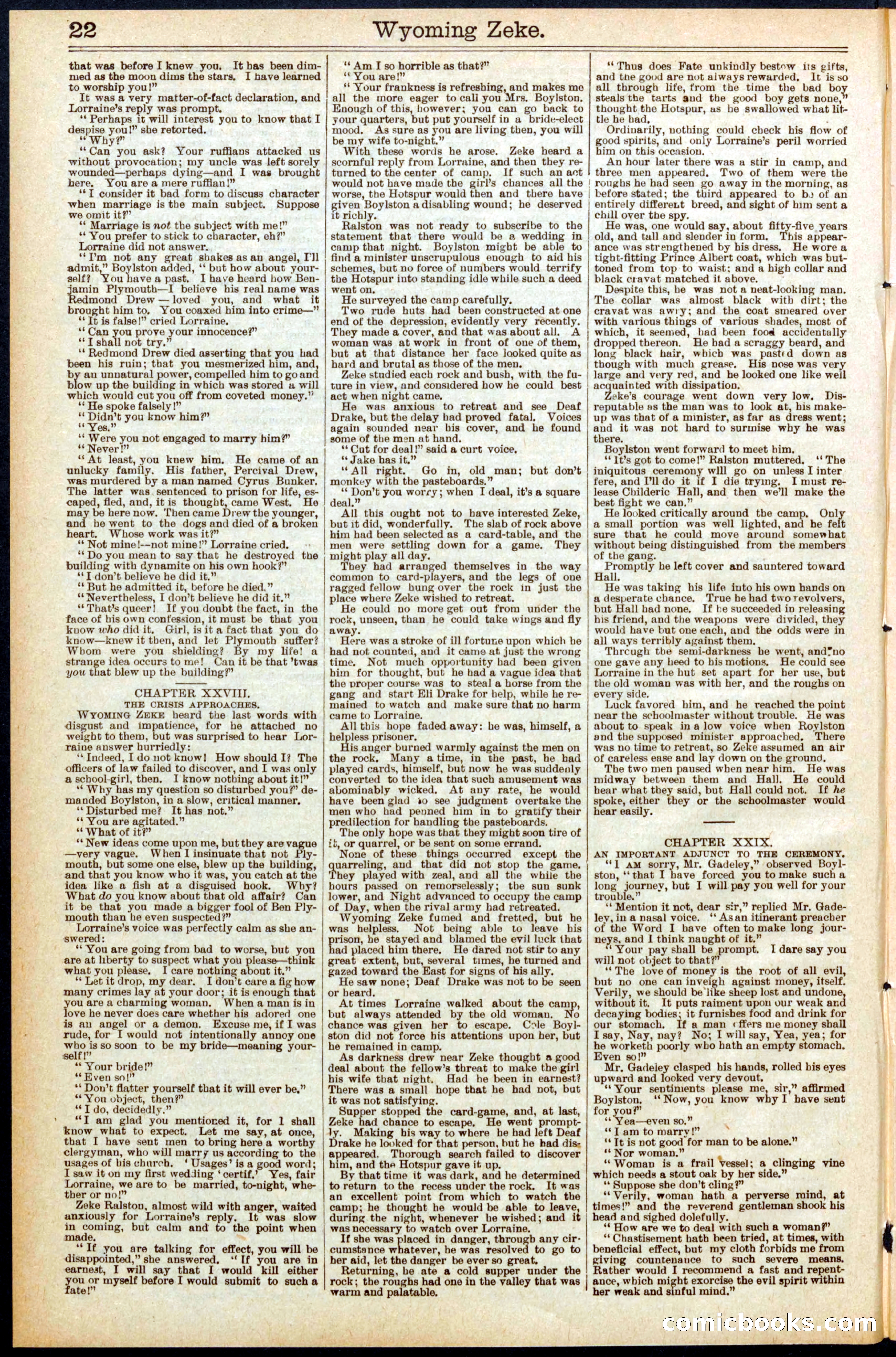 Beadle's New York Dime Library No. 563 — page 22 of 32