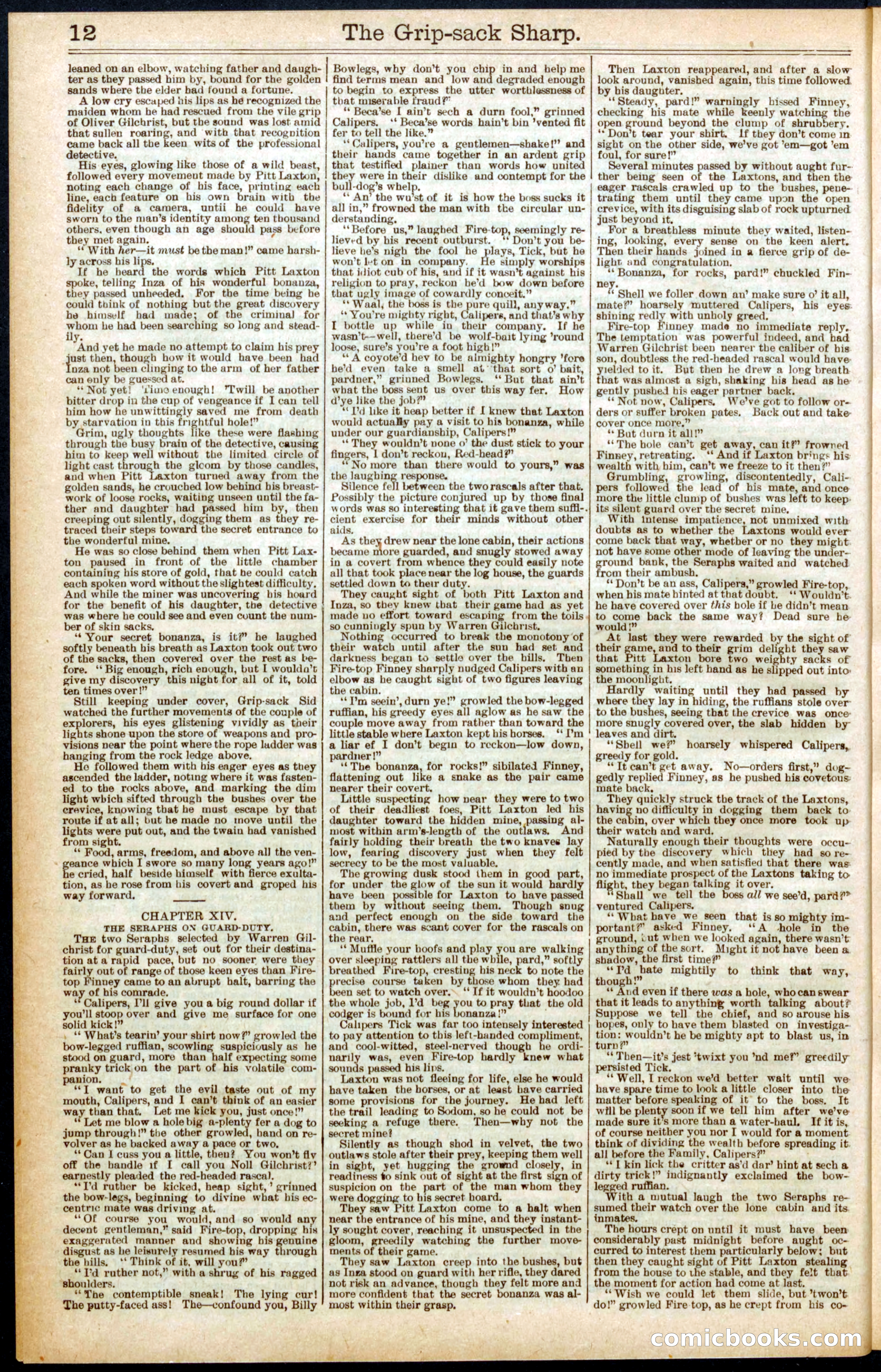 Beadle's Dime Library No. 564 — page 12 of 32