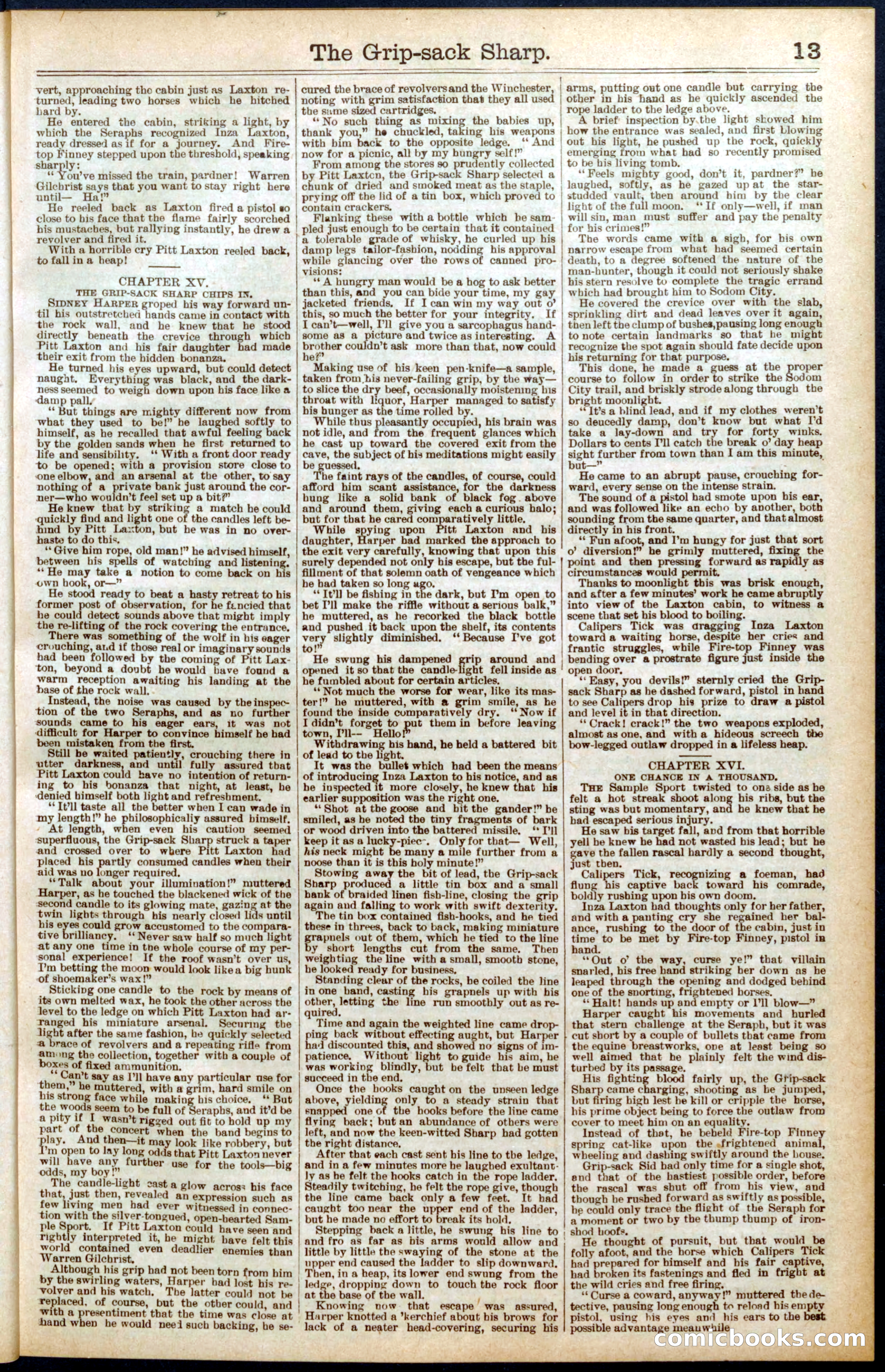 Beadle's Dime Library No. 564 — page 13 of 32