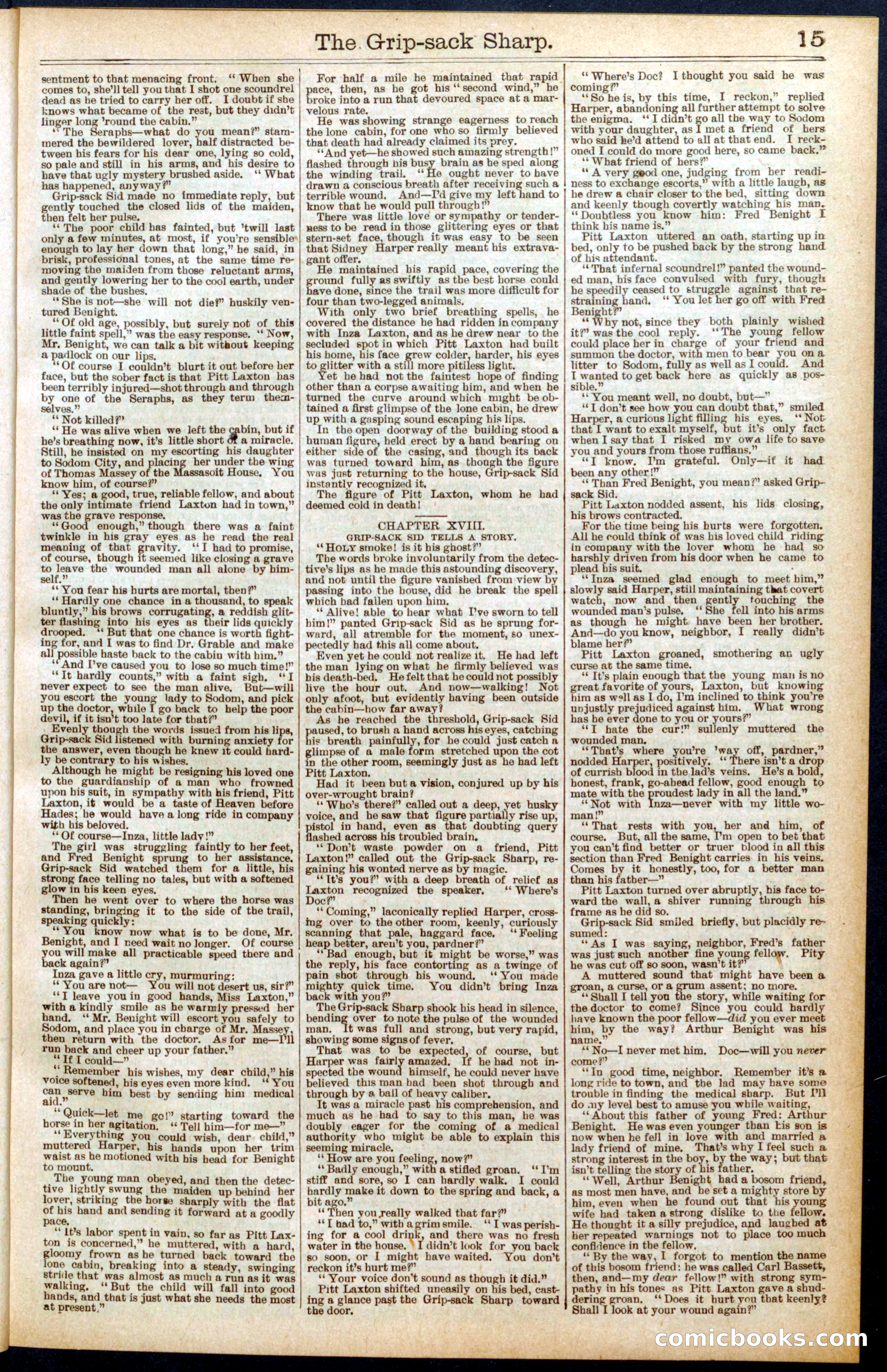 Beadle's Dime Library No. 564 — page 15 of 32