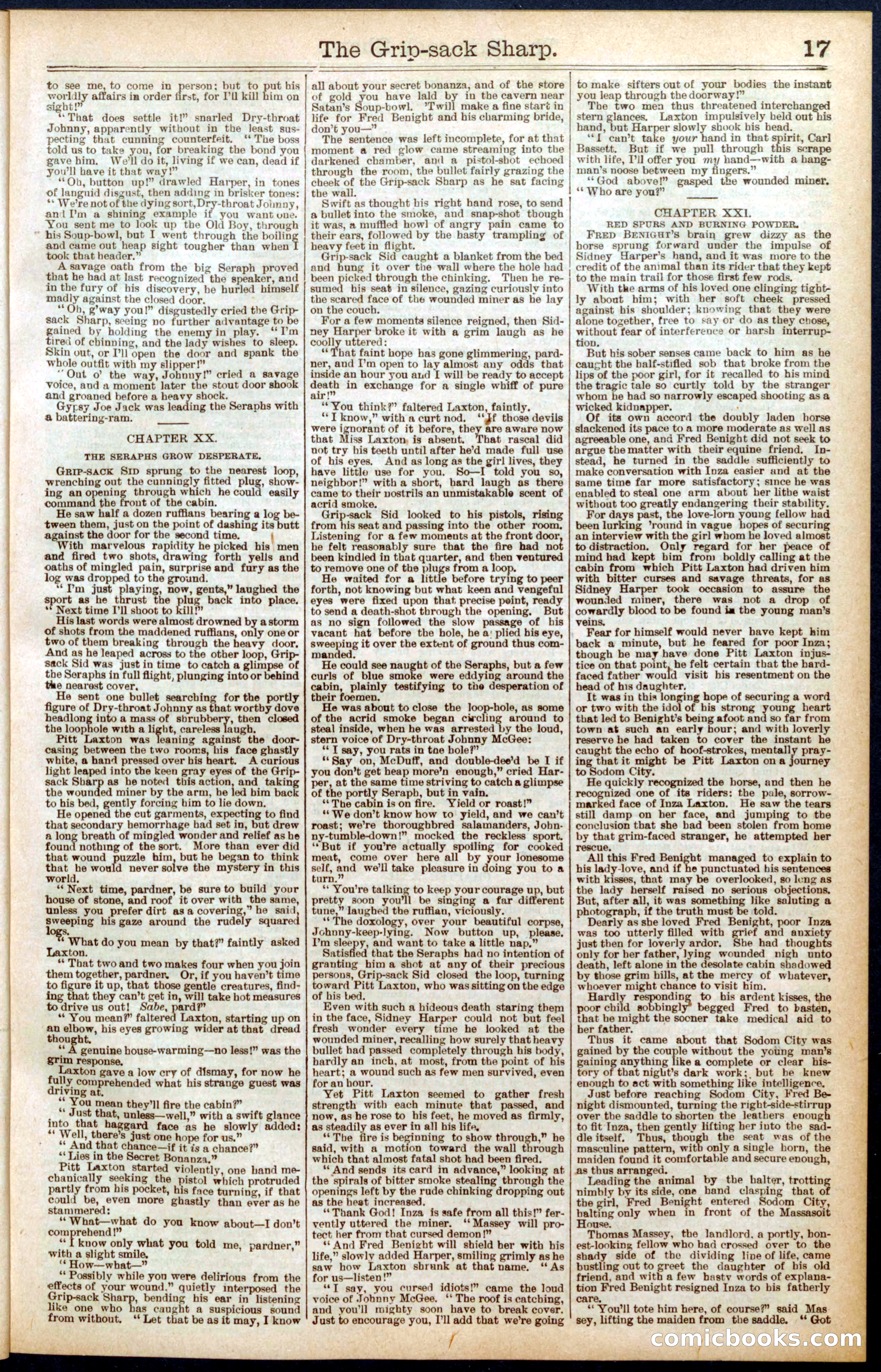 Beadle's Dime Library No. 564 — page 17 of 32