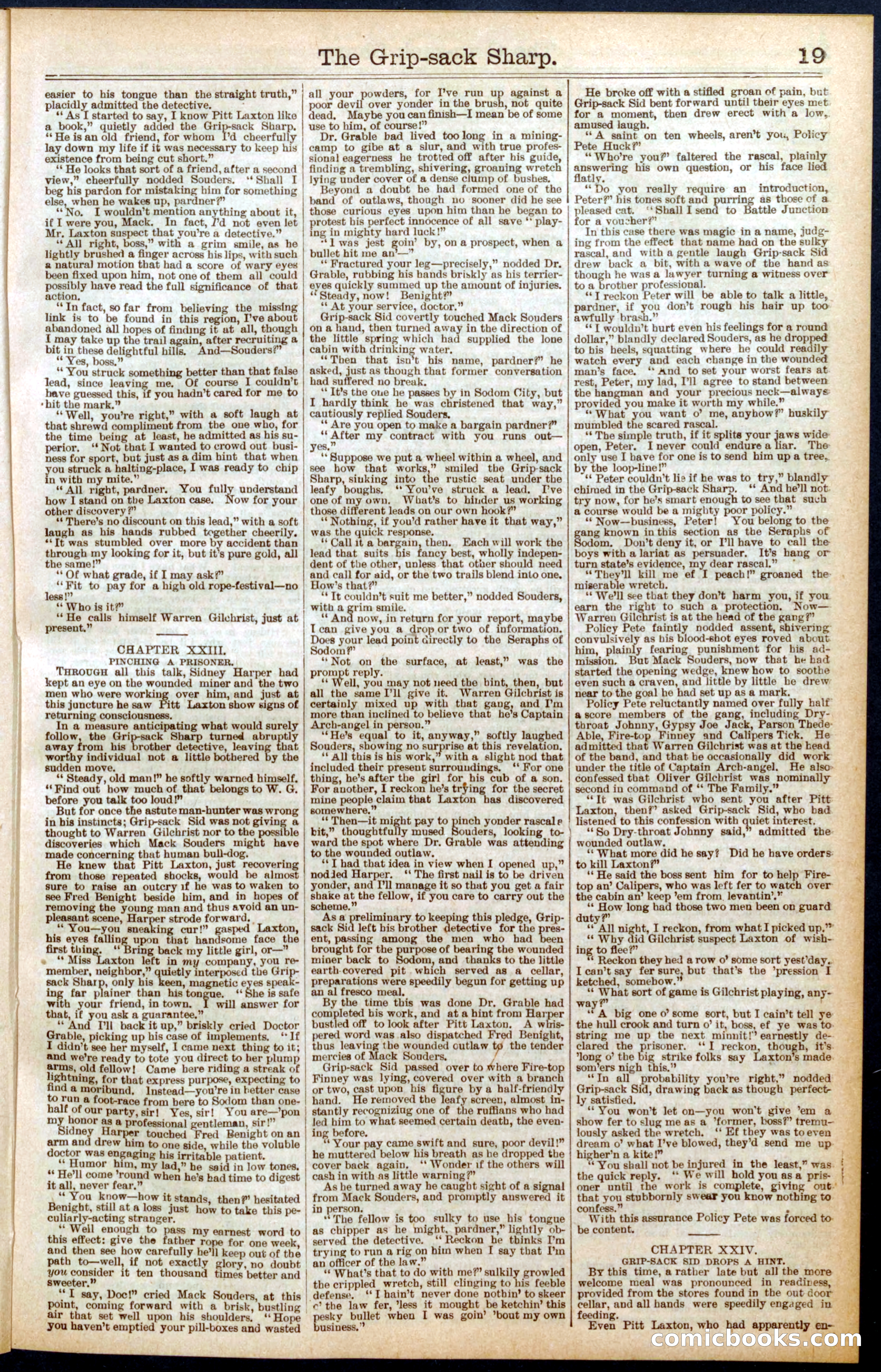 Beadle's Dime Library No. 564 — page 19 of 32
