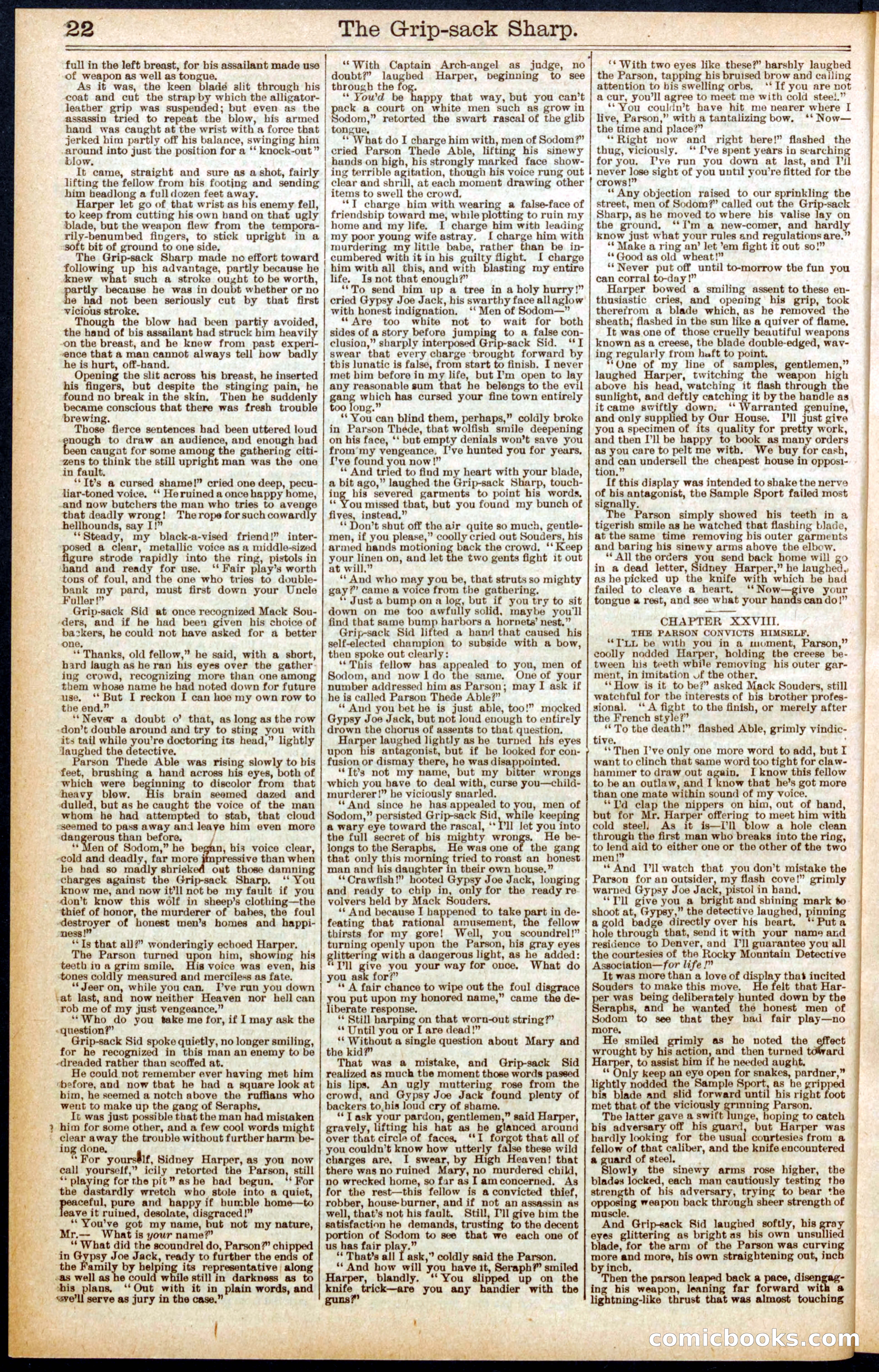 Beadle's Dime Library No. 564 — page 22 of 32